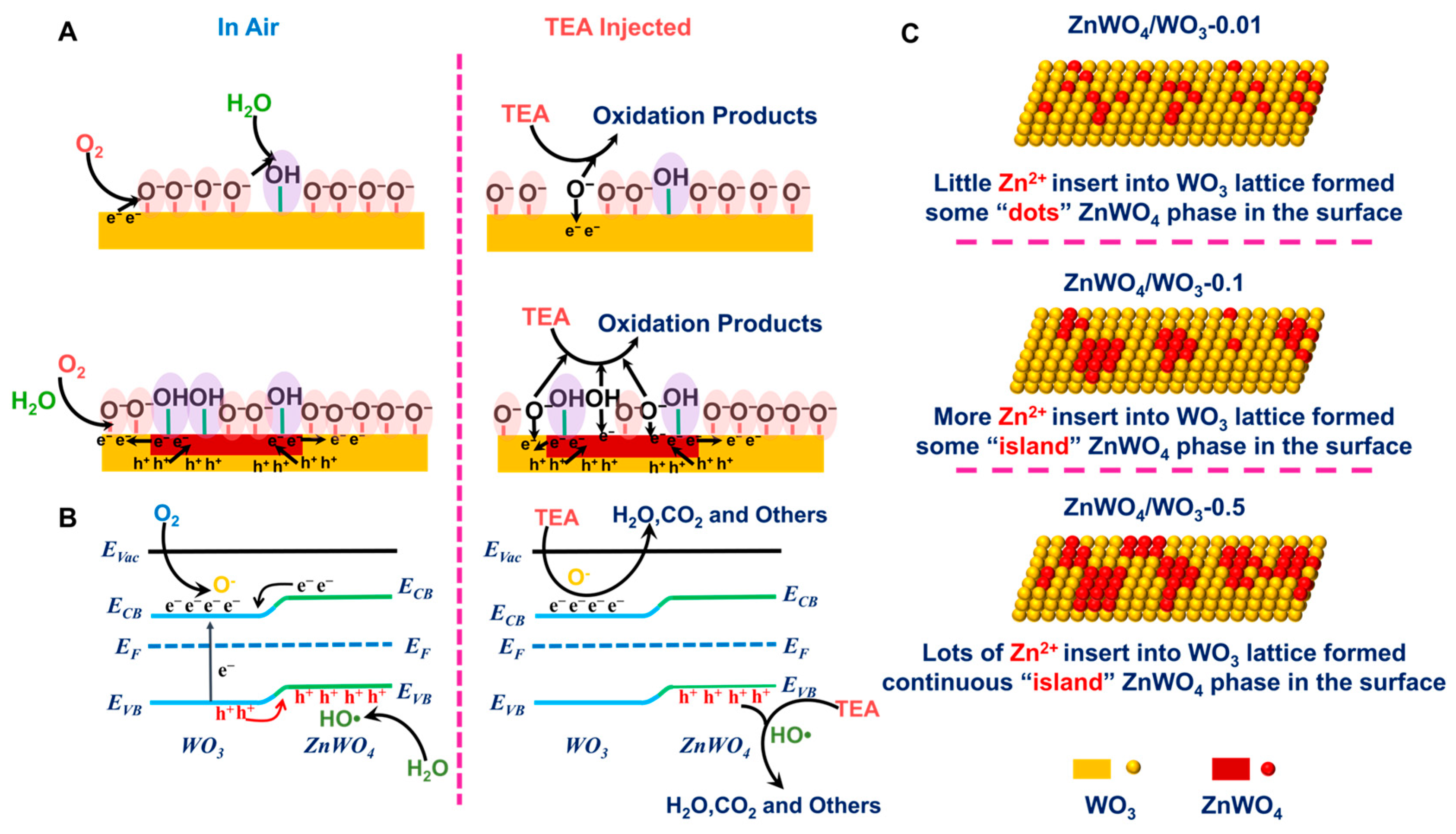 Sensors 24 05606 g008