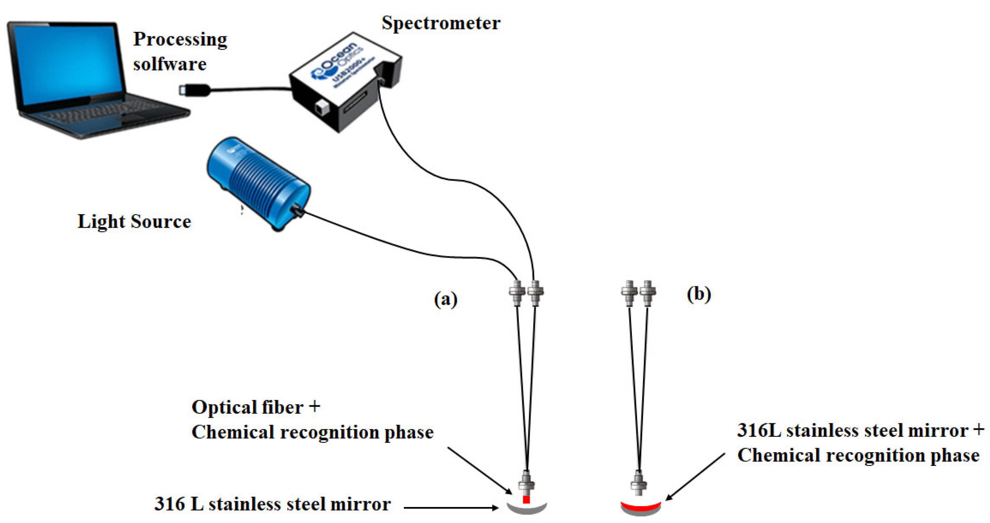 Sensors 24 05610 g001a