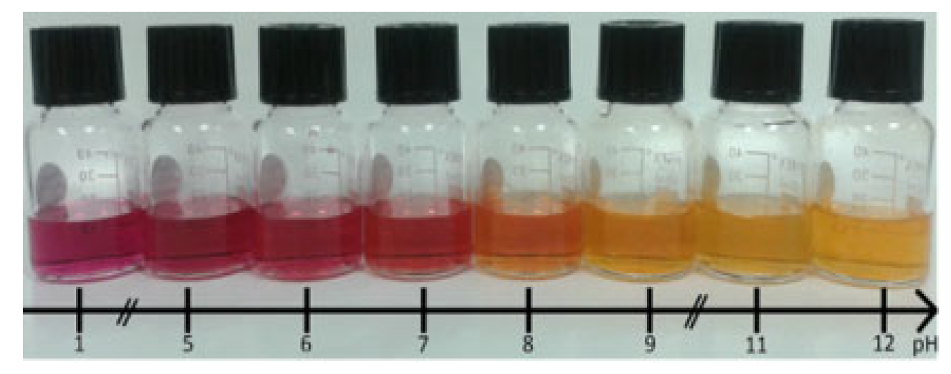 Sensors 24 05610 g002