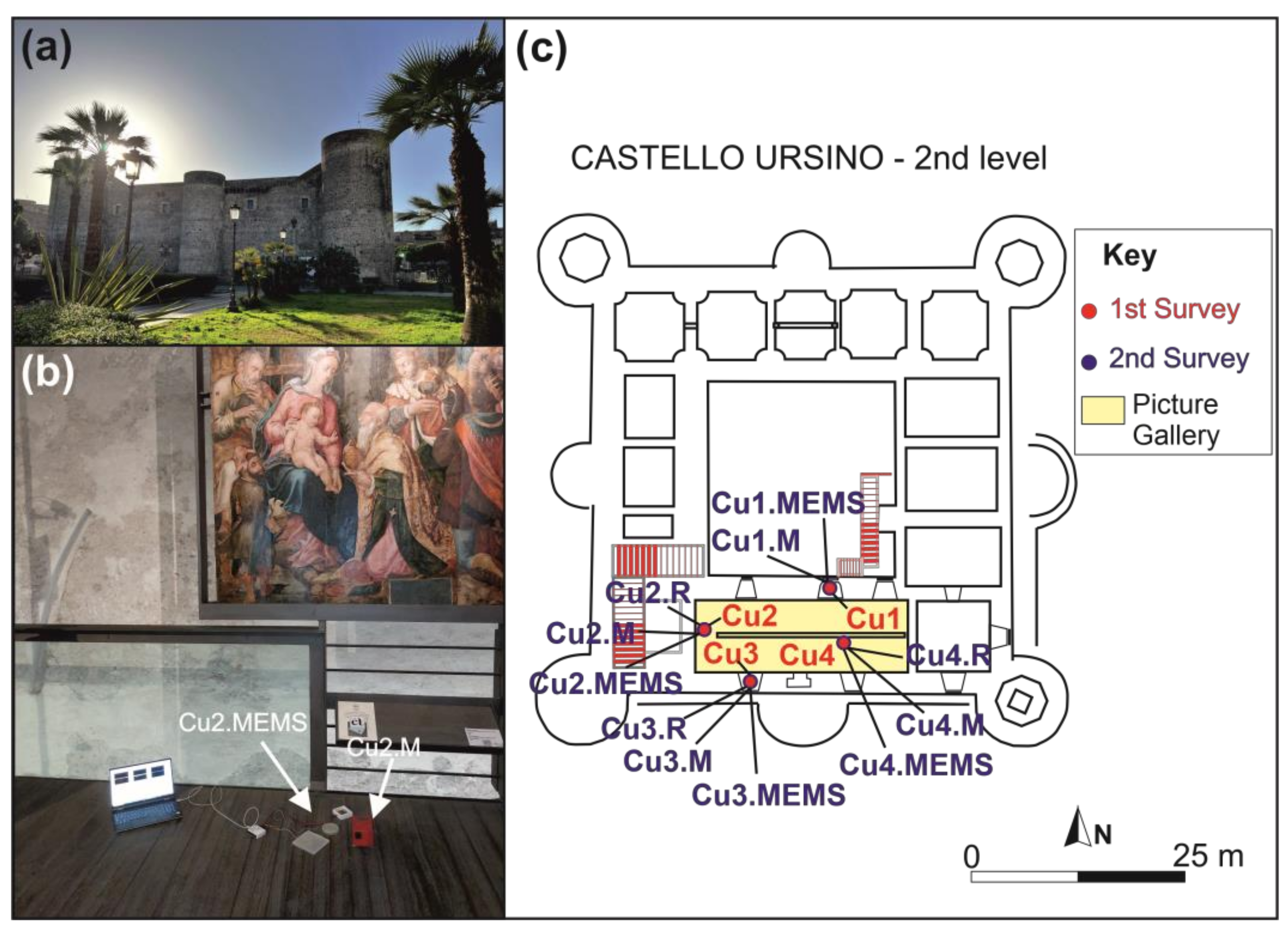 Sensors 24 05617 g001