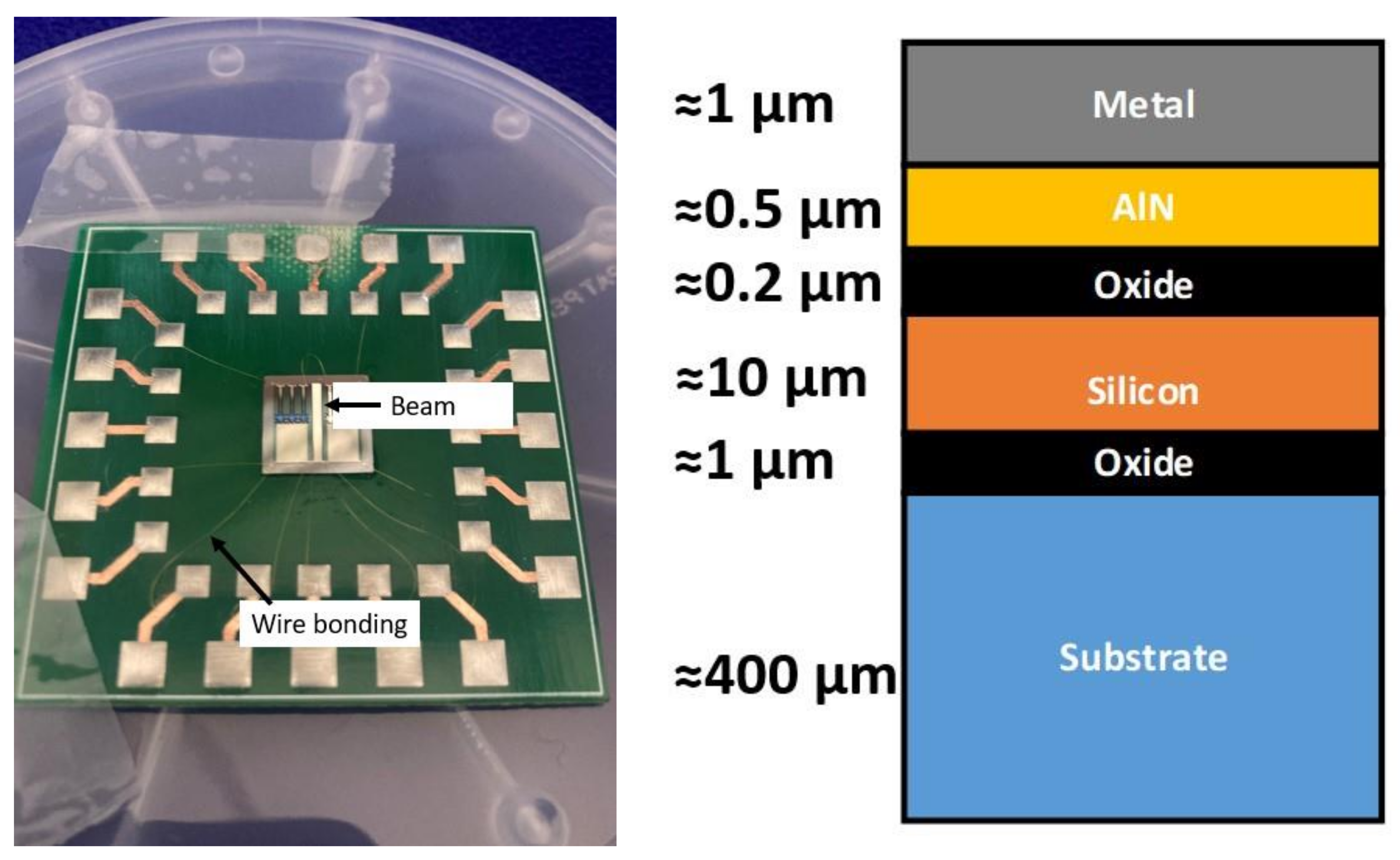 Sensors 24 05617 g002