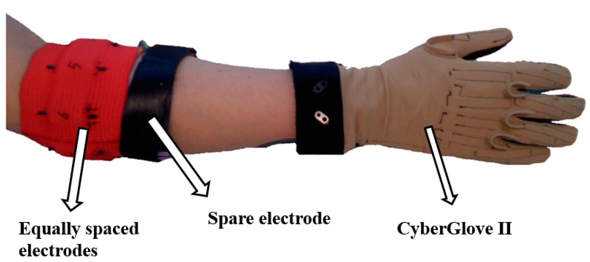 Sensors 24 05631 g001