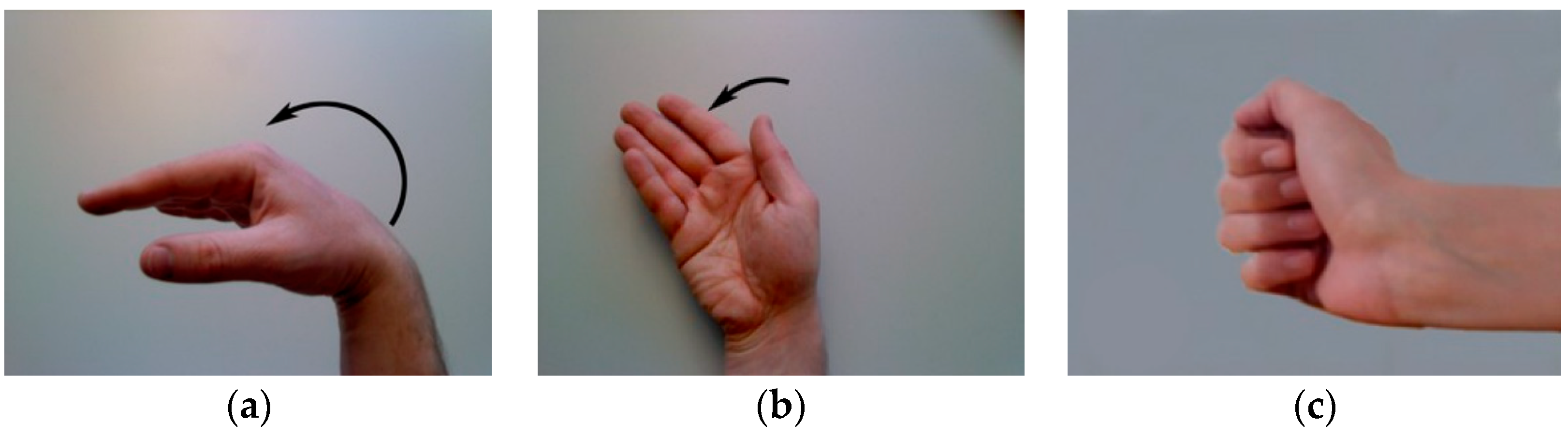 Sensors 24 05631 g003