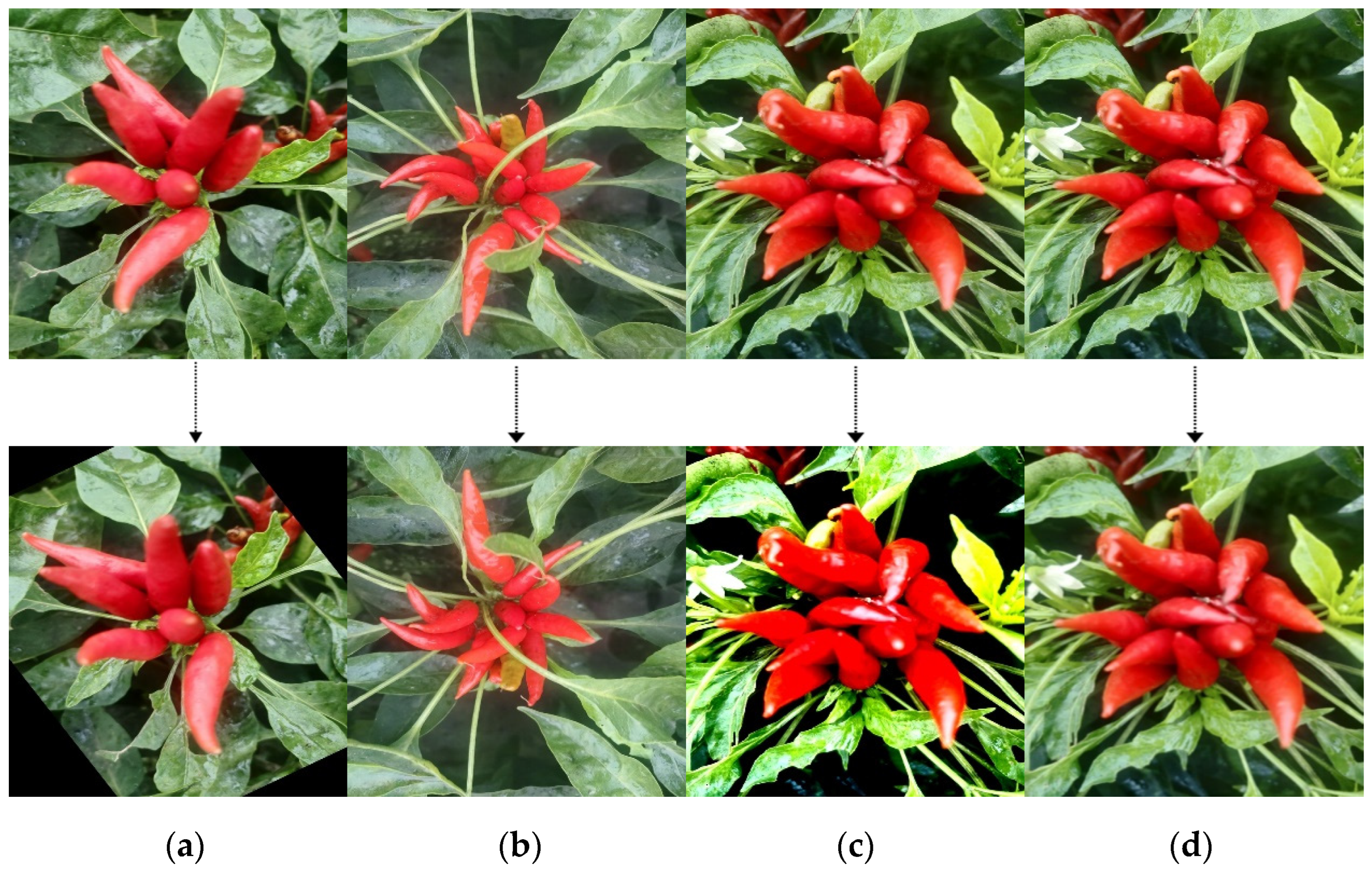 Sensors 24 05632 g002