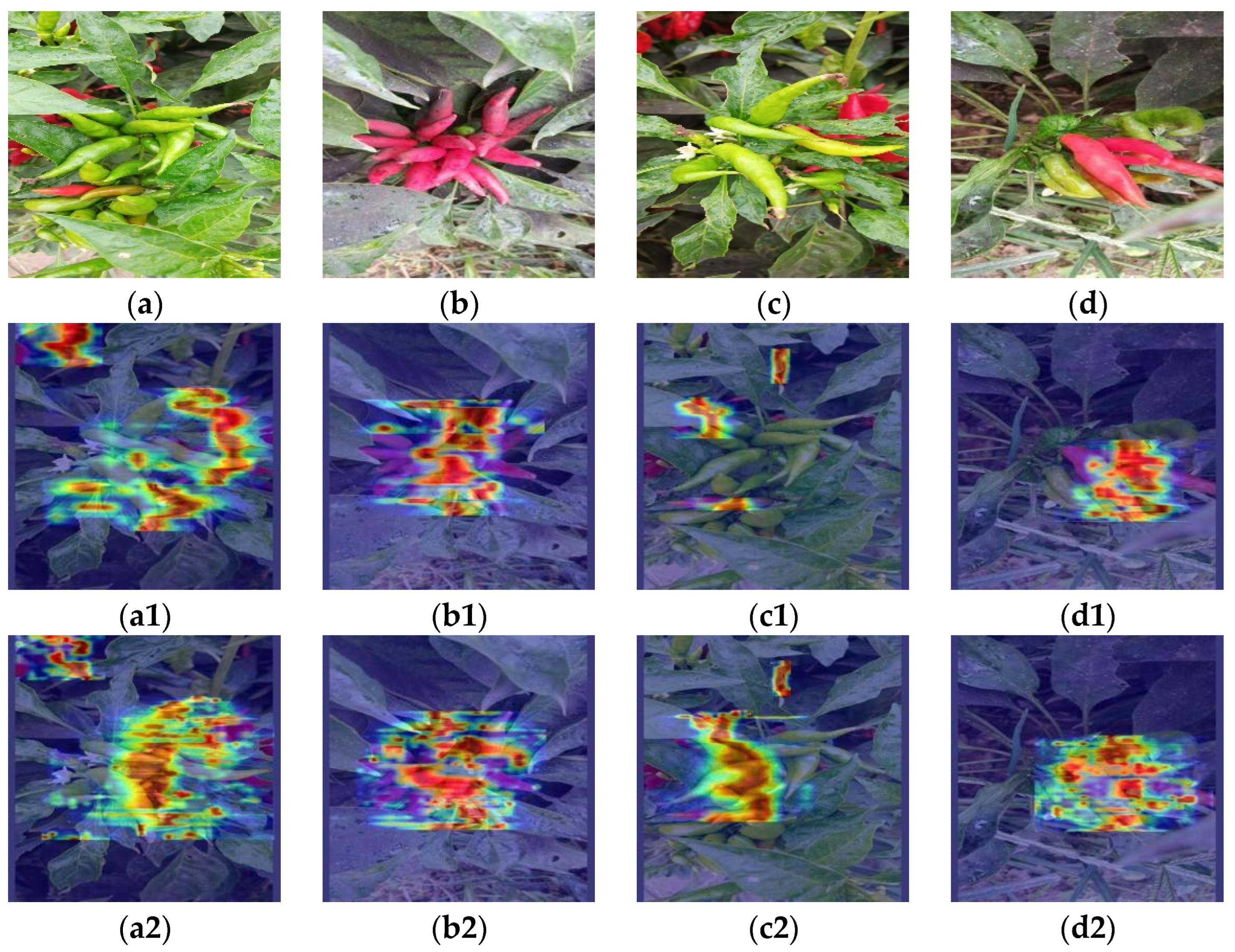 Sensors 24 05632 g018