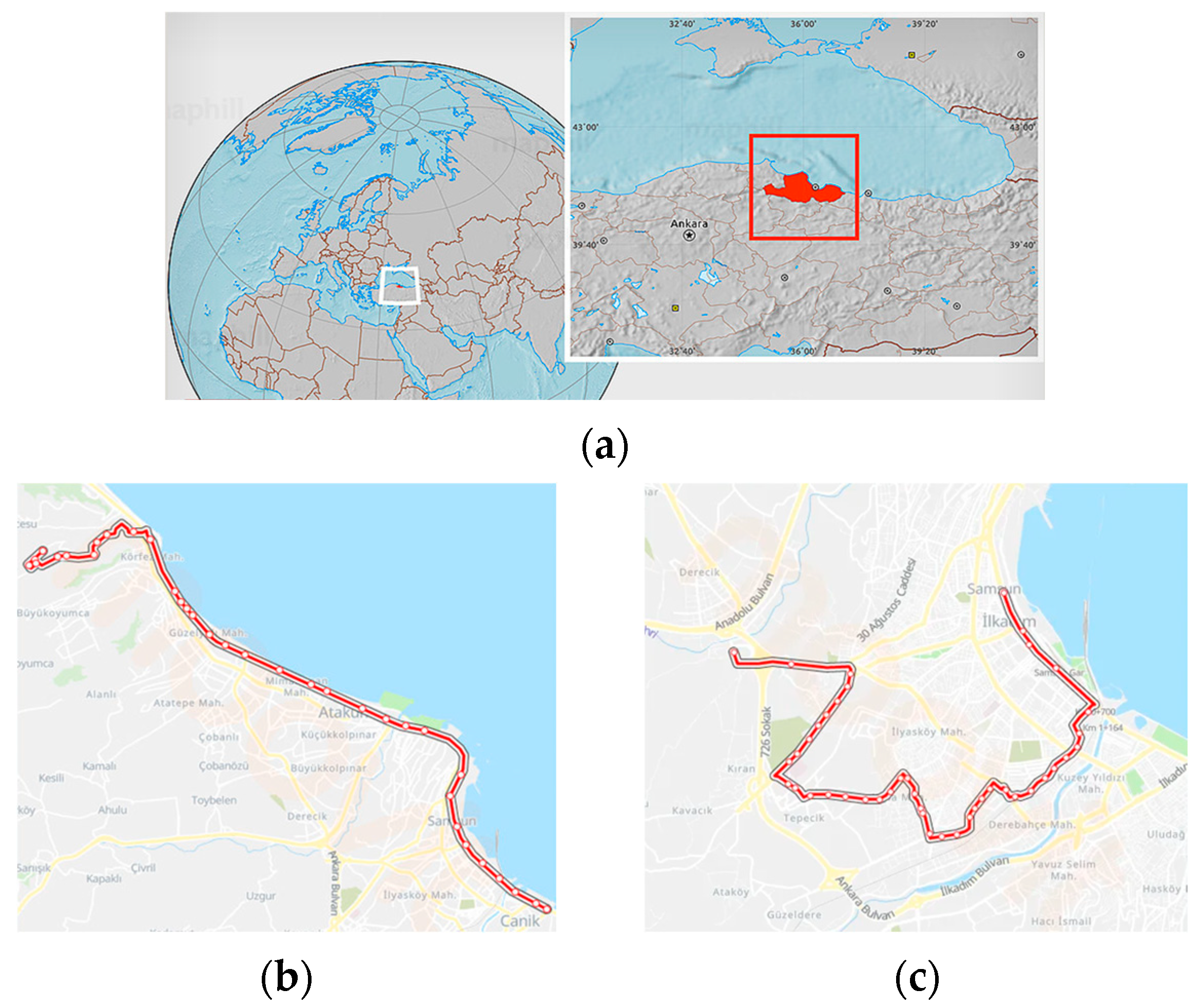 Sensors 24 05634 g002