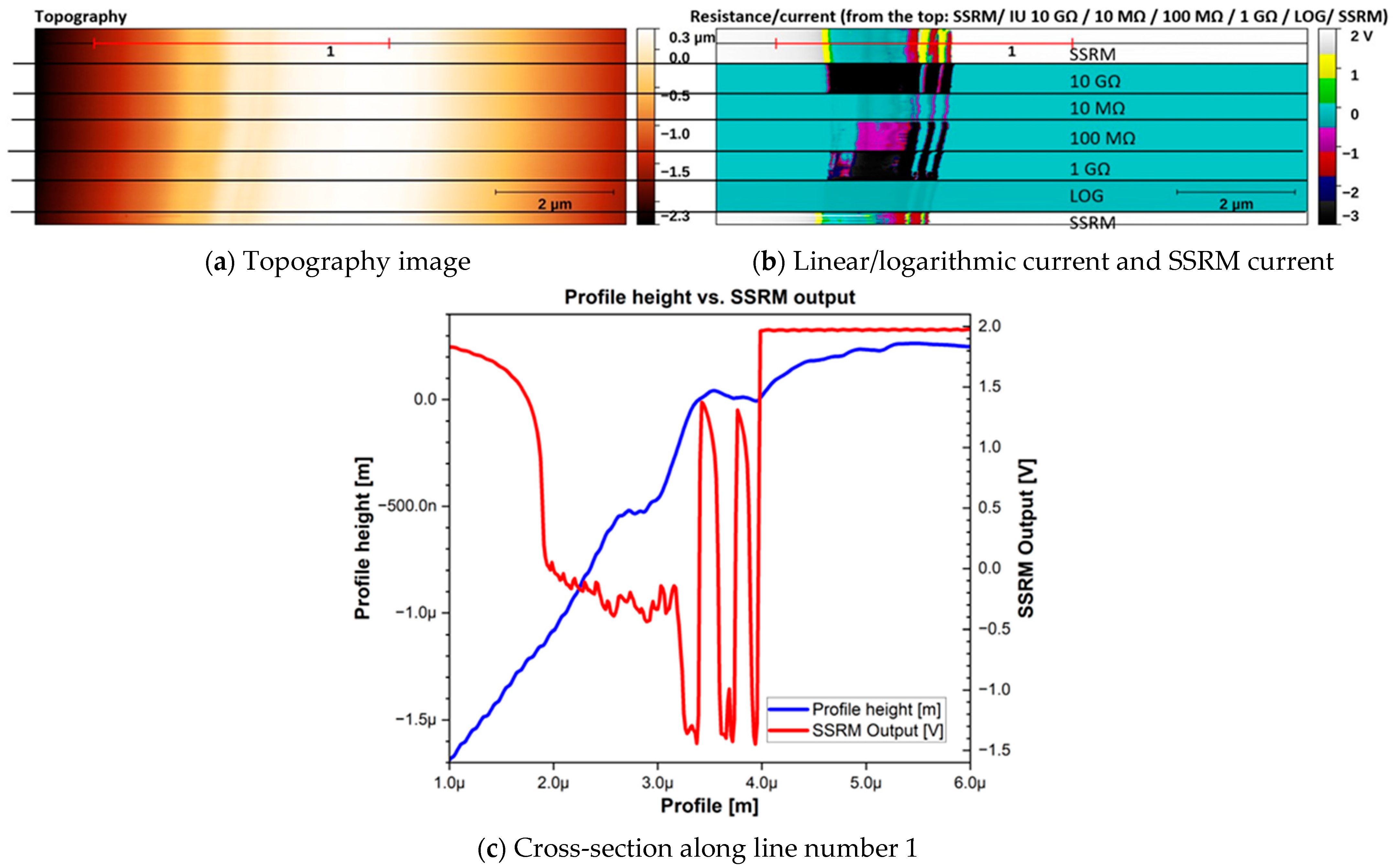 Sensors 24 05649 g006