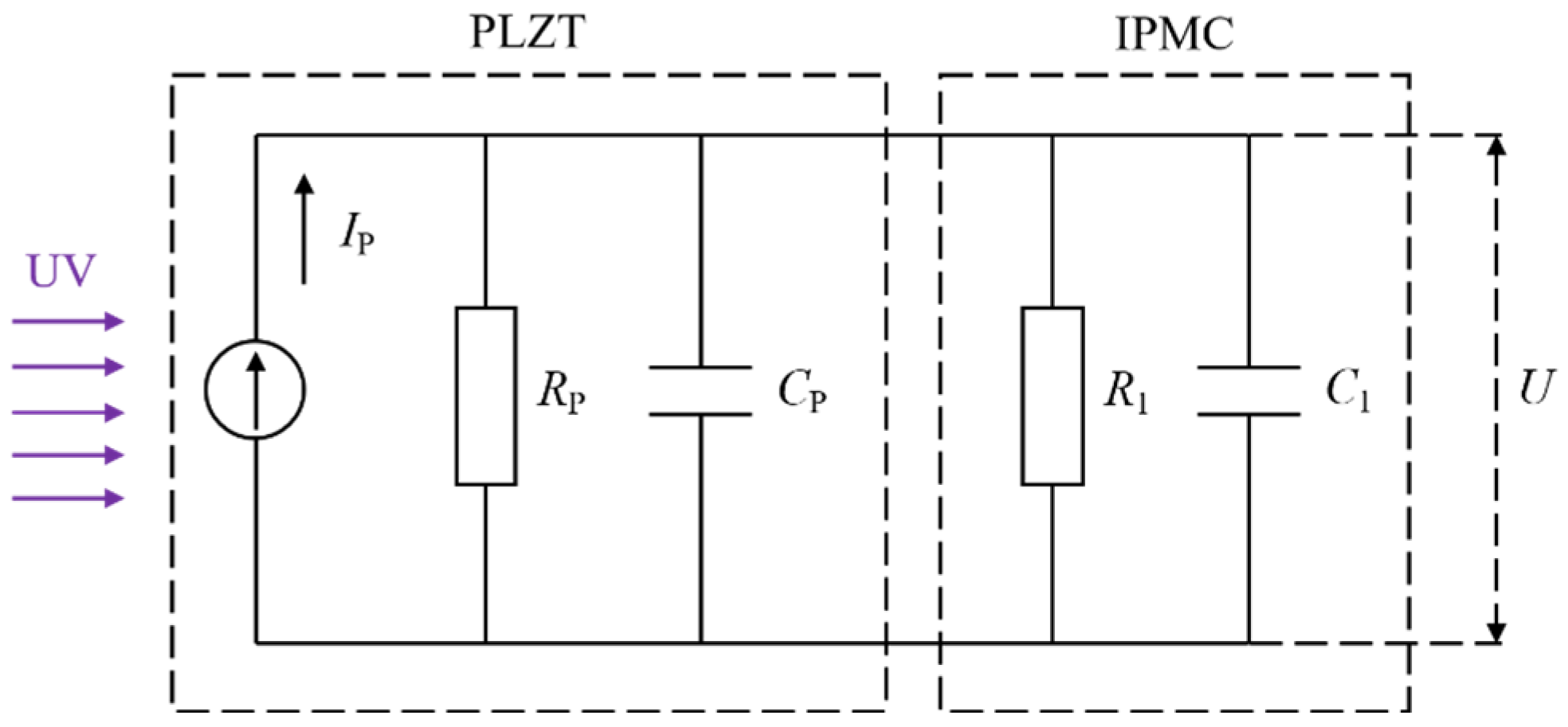 Sensors 24 05650 g001