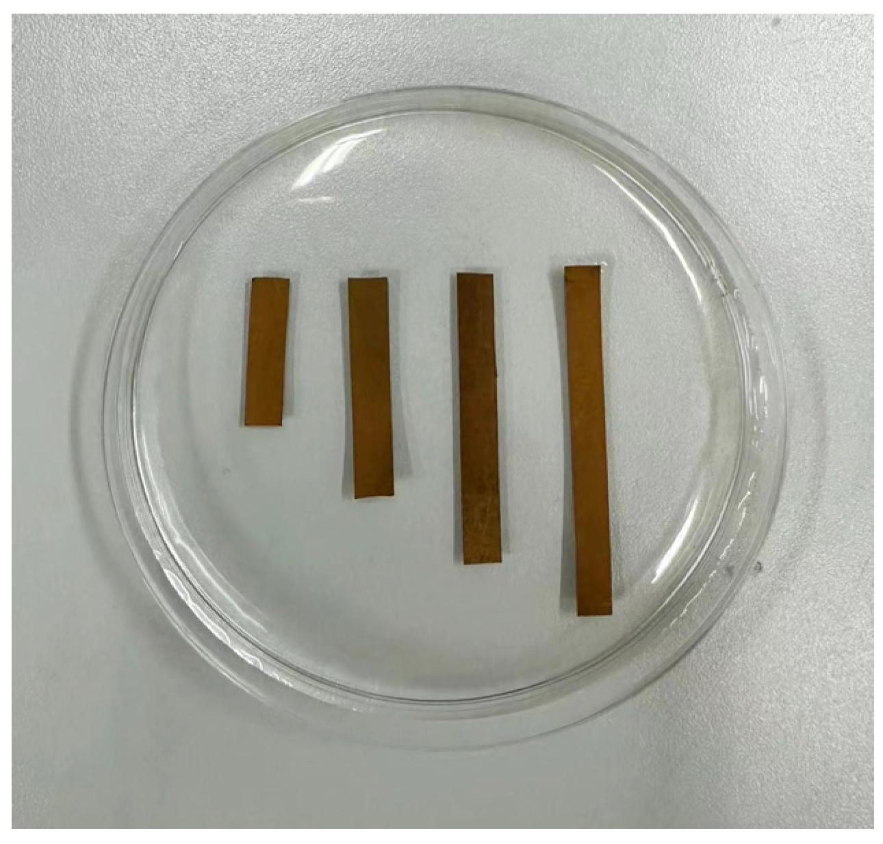 Sensors 24 05650 g004