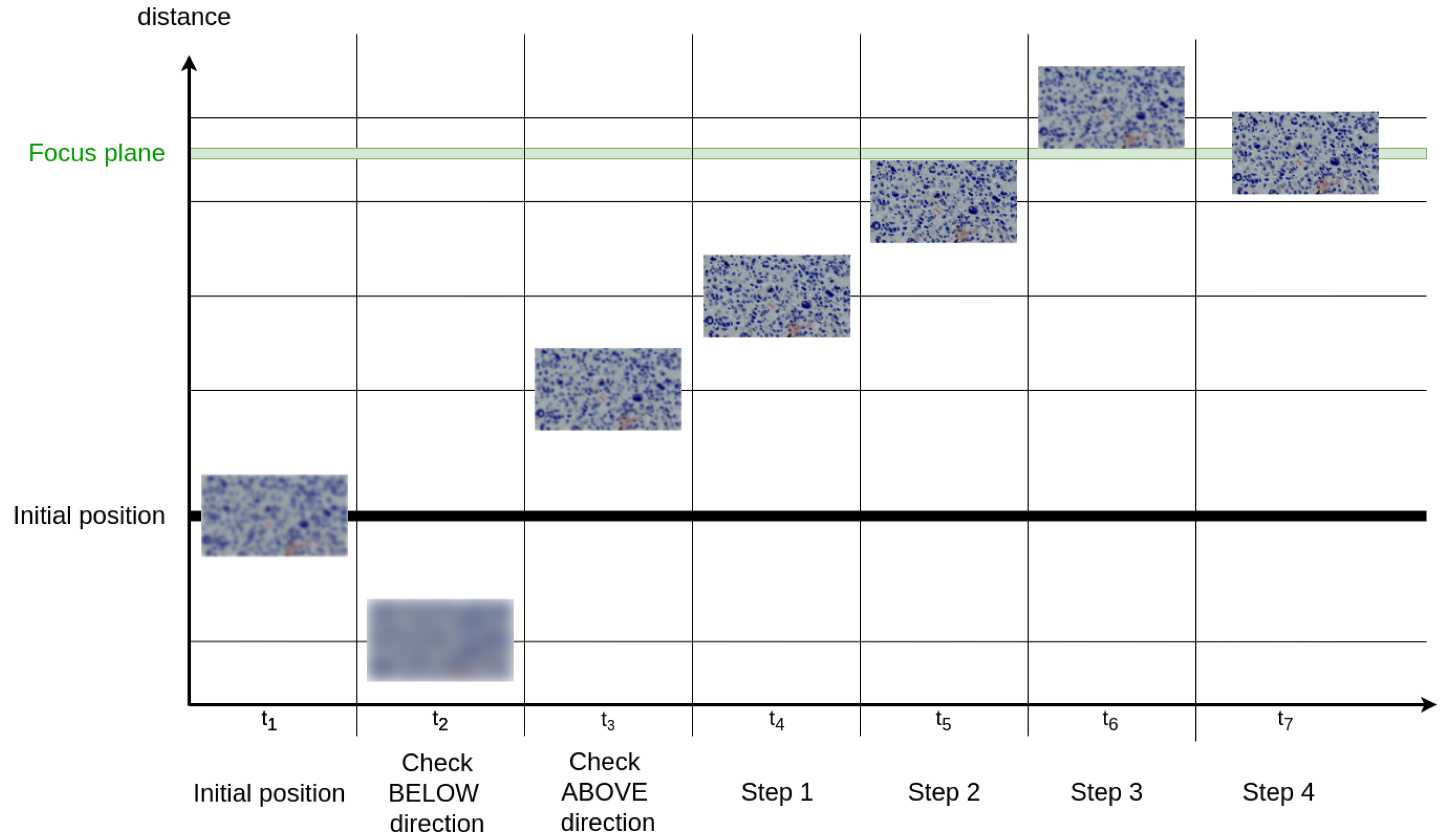 Sensors 24 05654 g004
