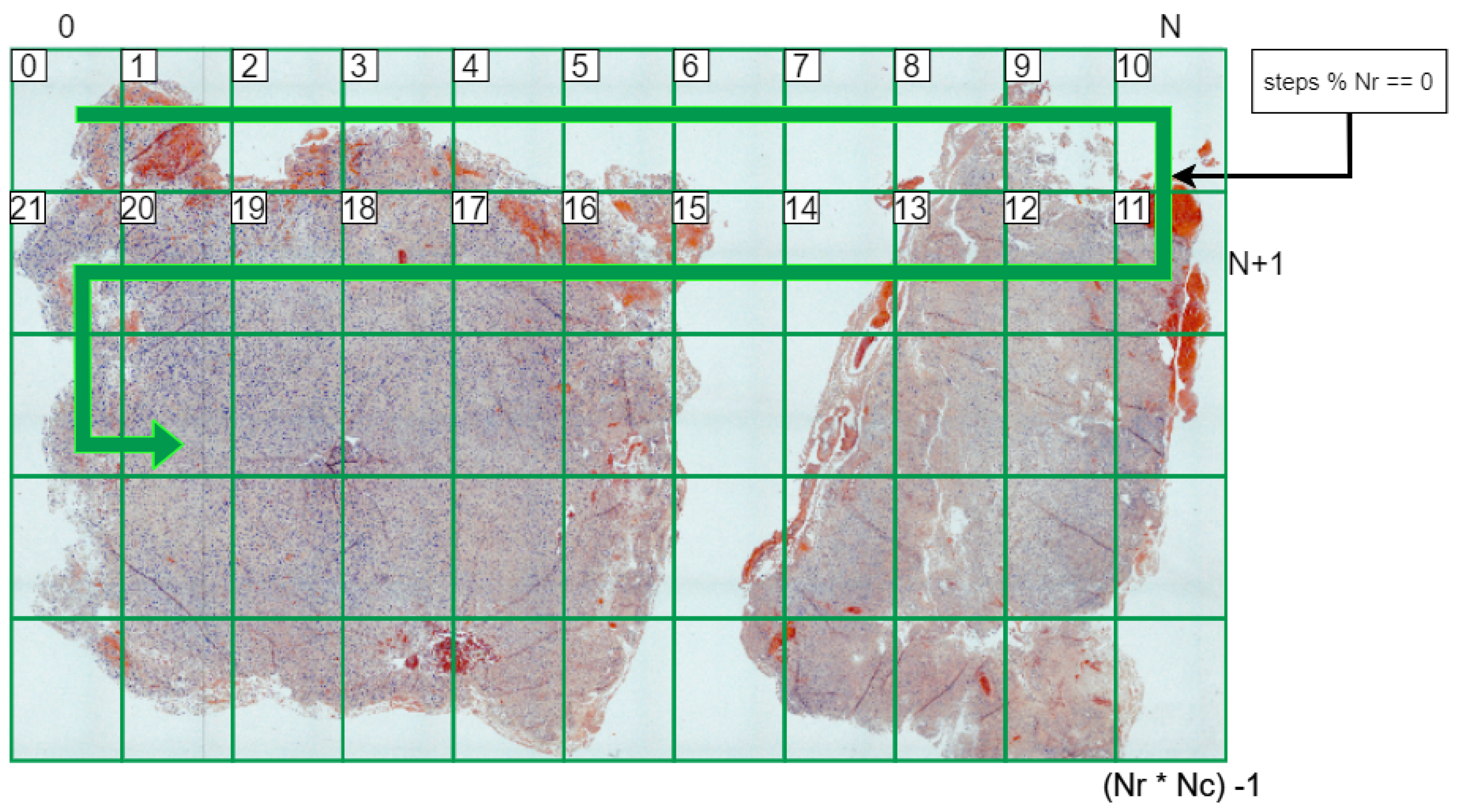 Sensors 24 05654 g007