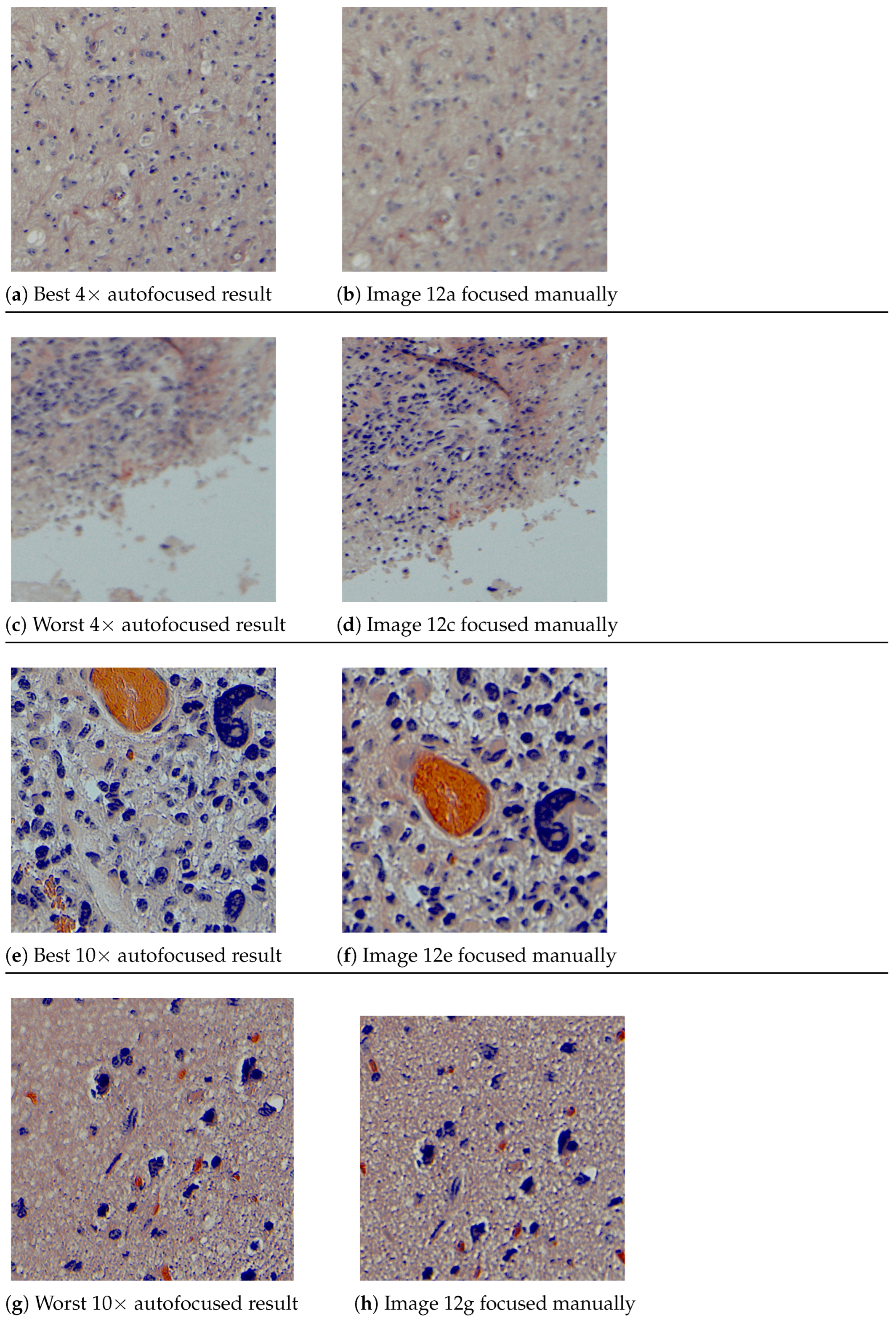 Sensors 24 05654 g012