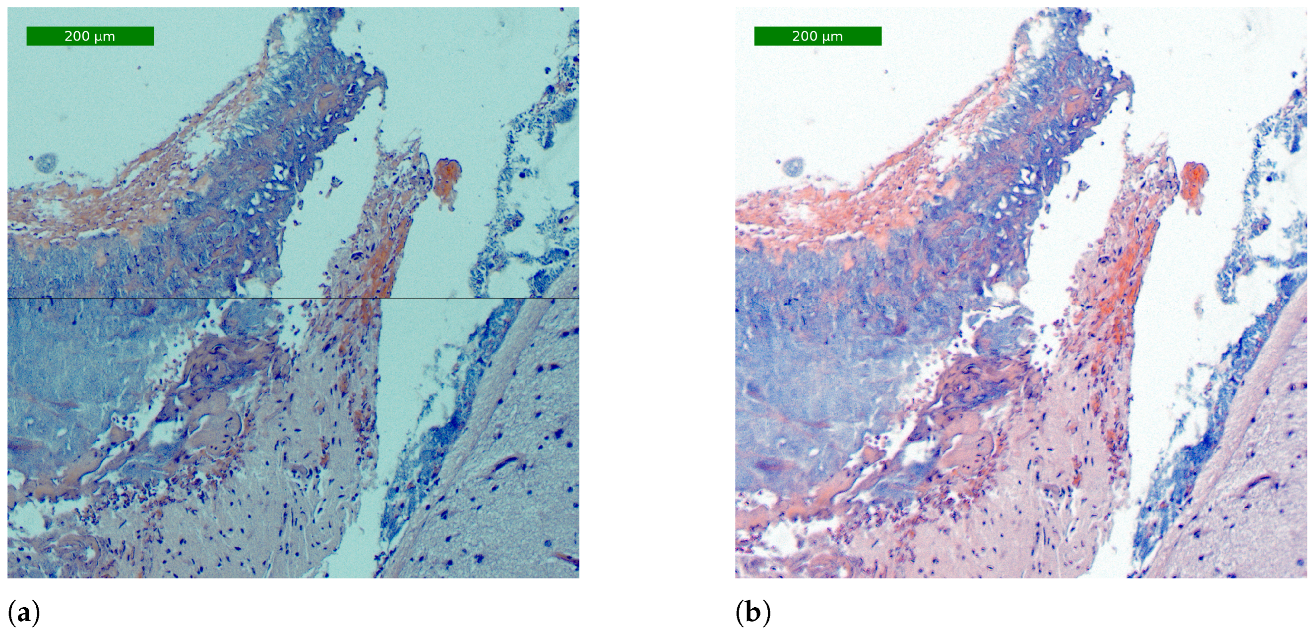 Sensors 24 05654 g014