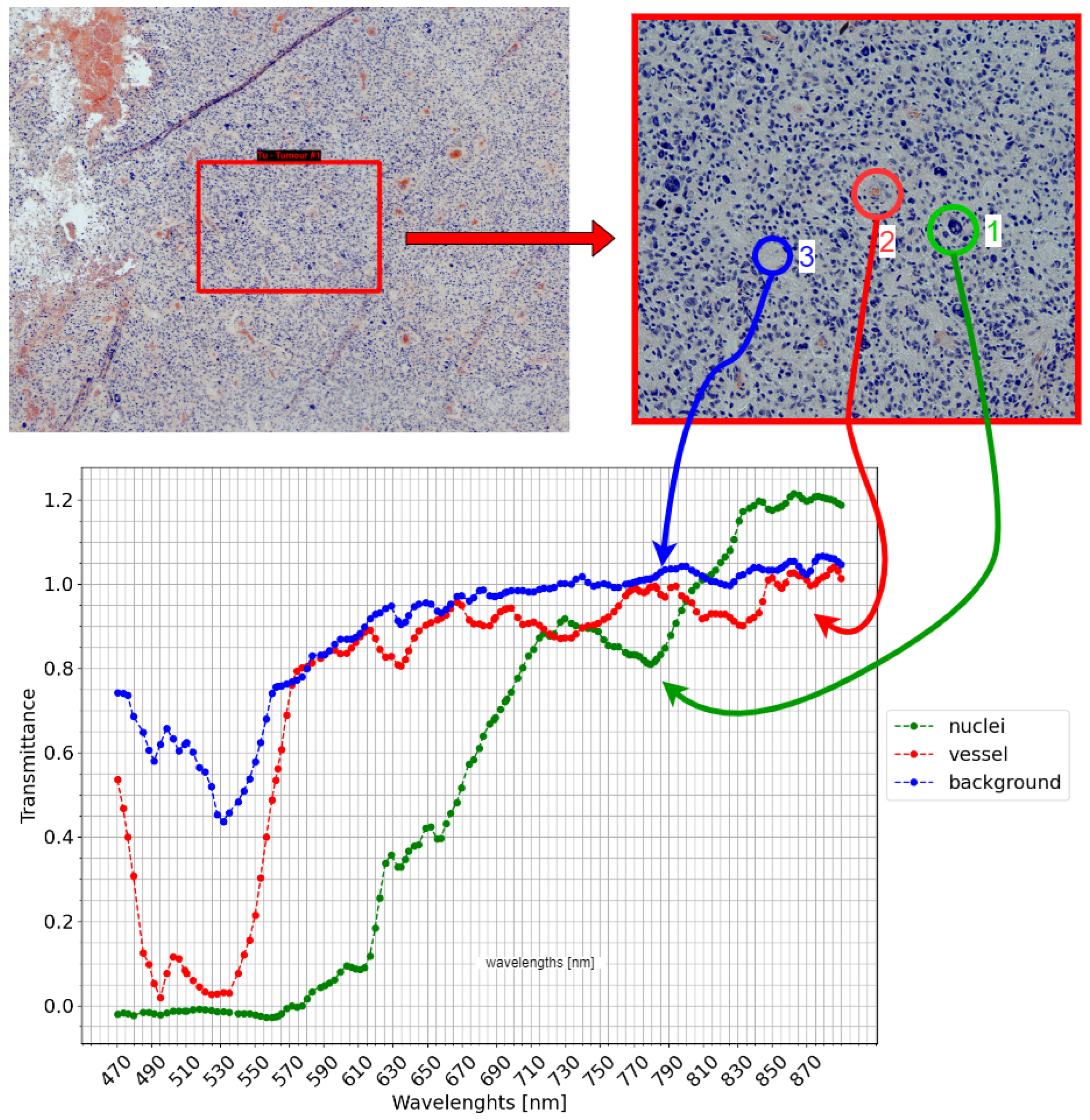 Sensors 24 05654 g015