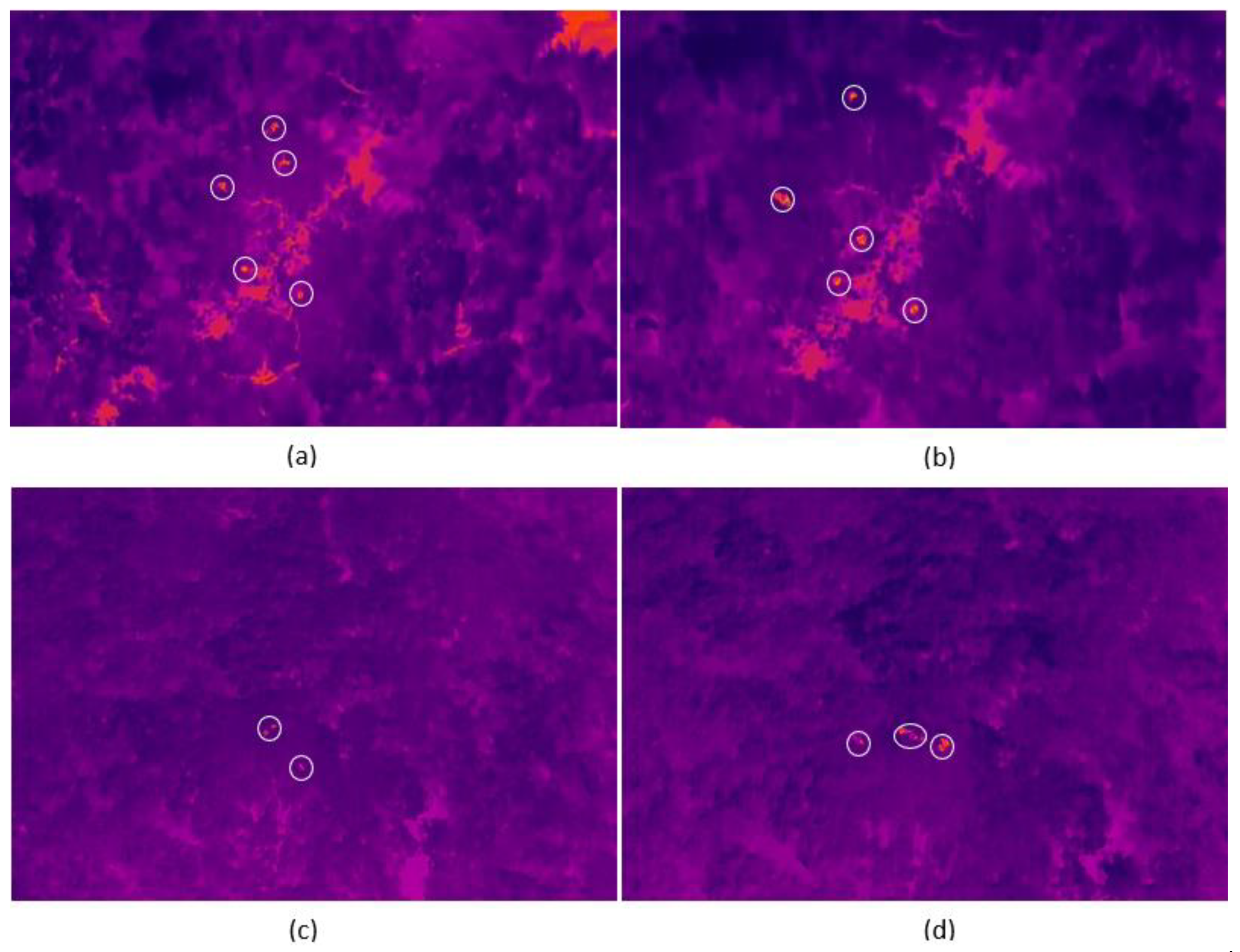 Sensors 24 05659 g004