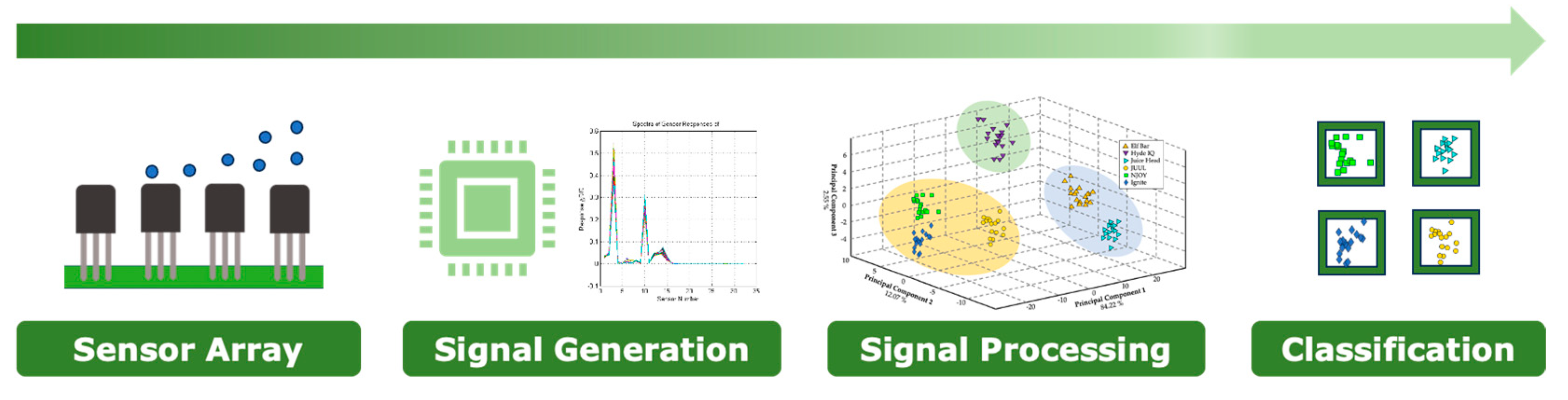 Sensors 24 05676 g001