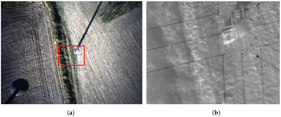 UAV Visual and Thermographic Power Line Detection Using Deep Learning