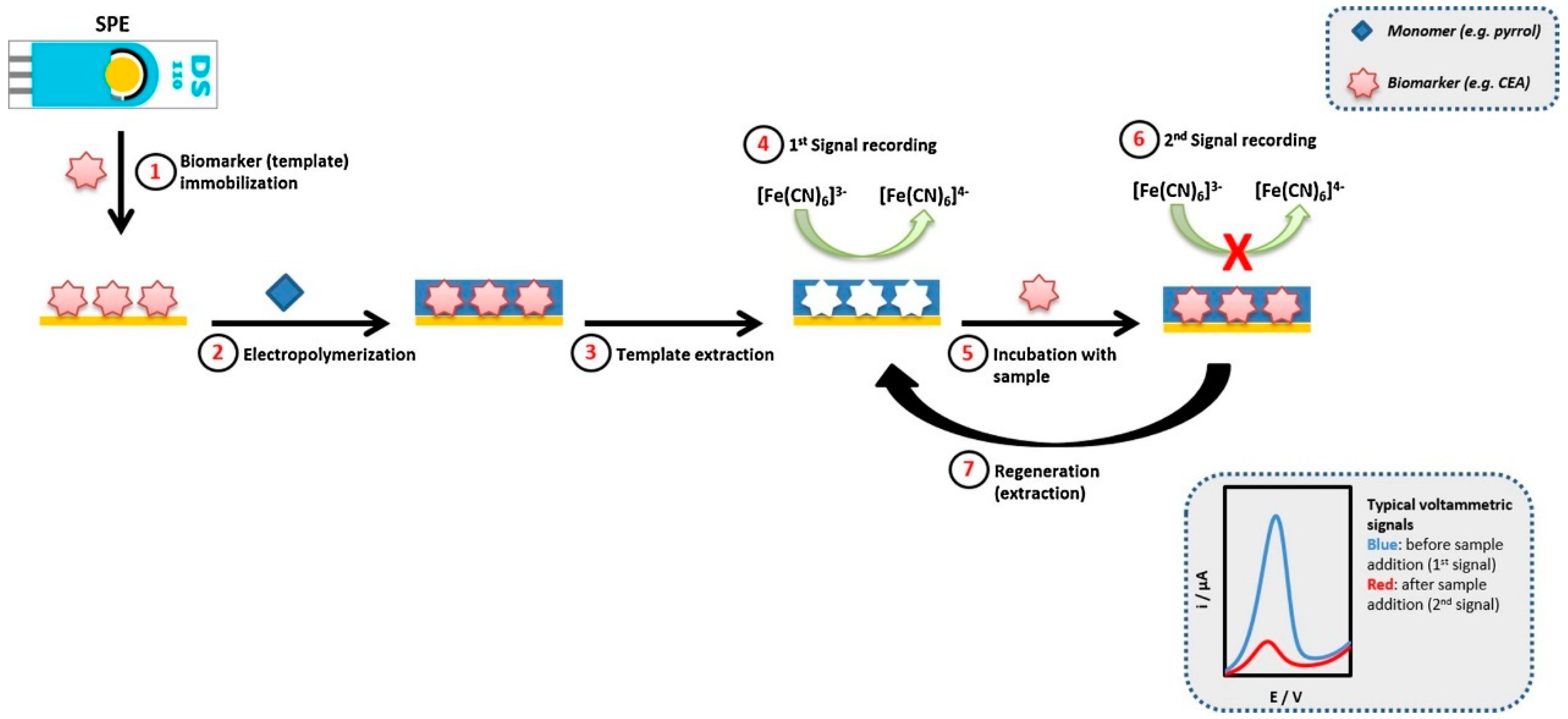 Sensors 24 05679 g005
