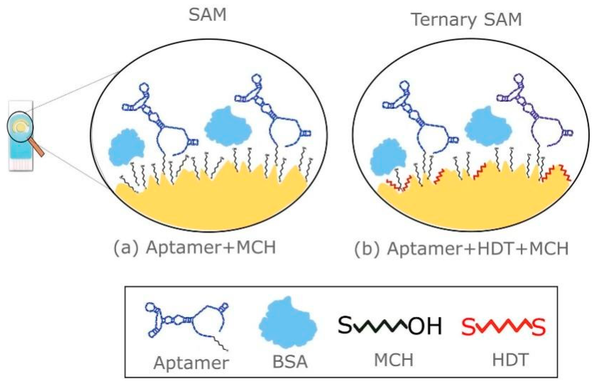 Sensors 24 05679 g006