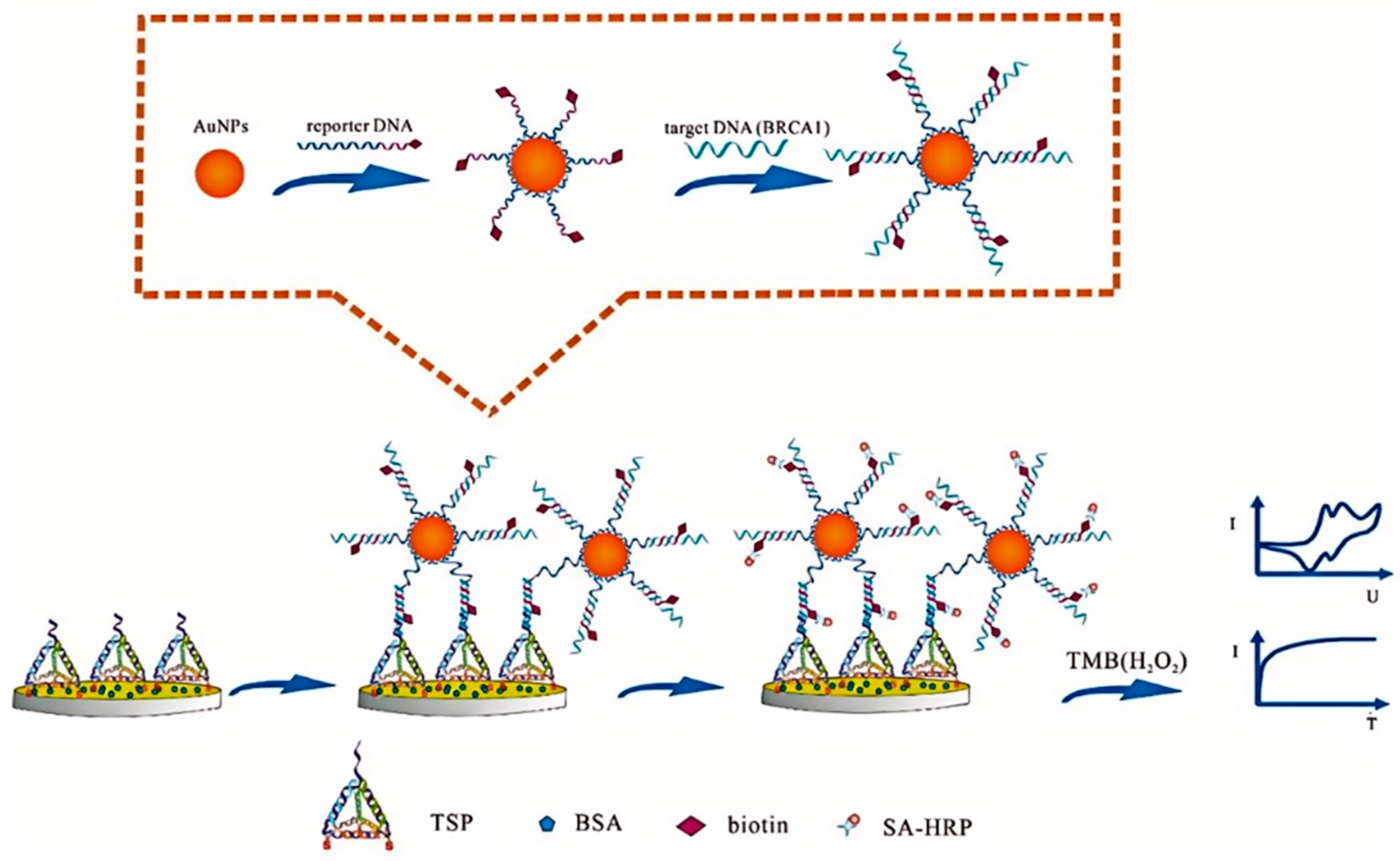 Sensors 24 05679 g011