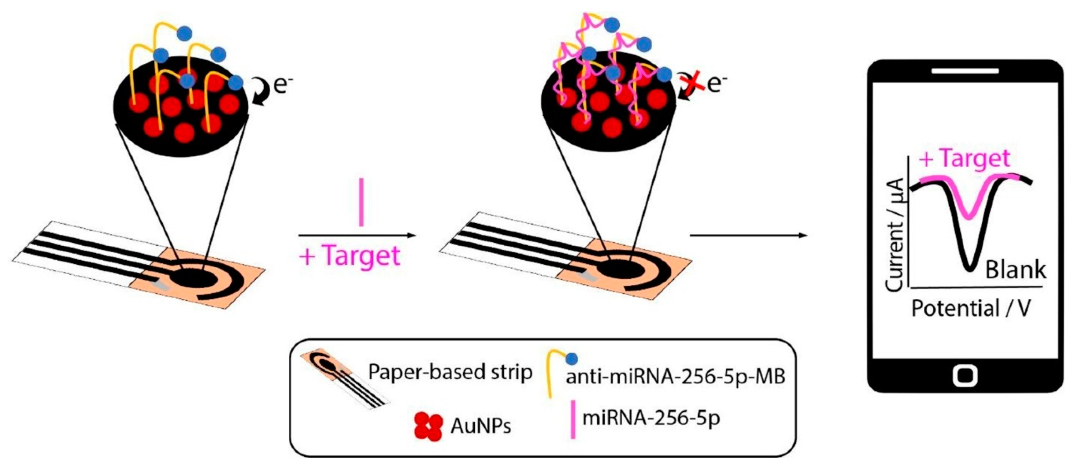Sensors 24 05679 g012