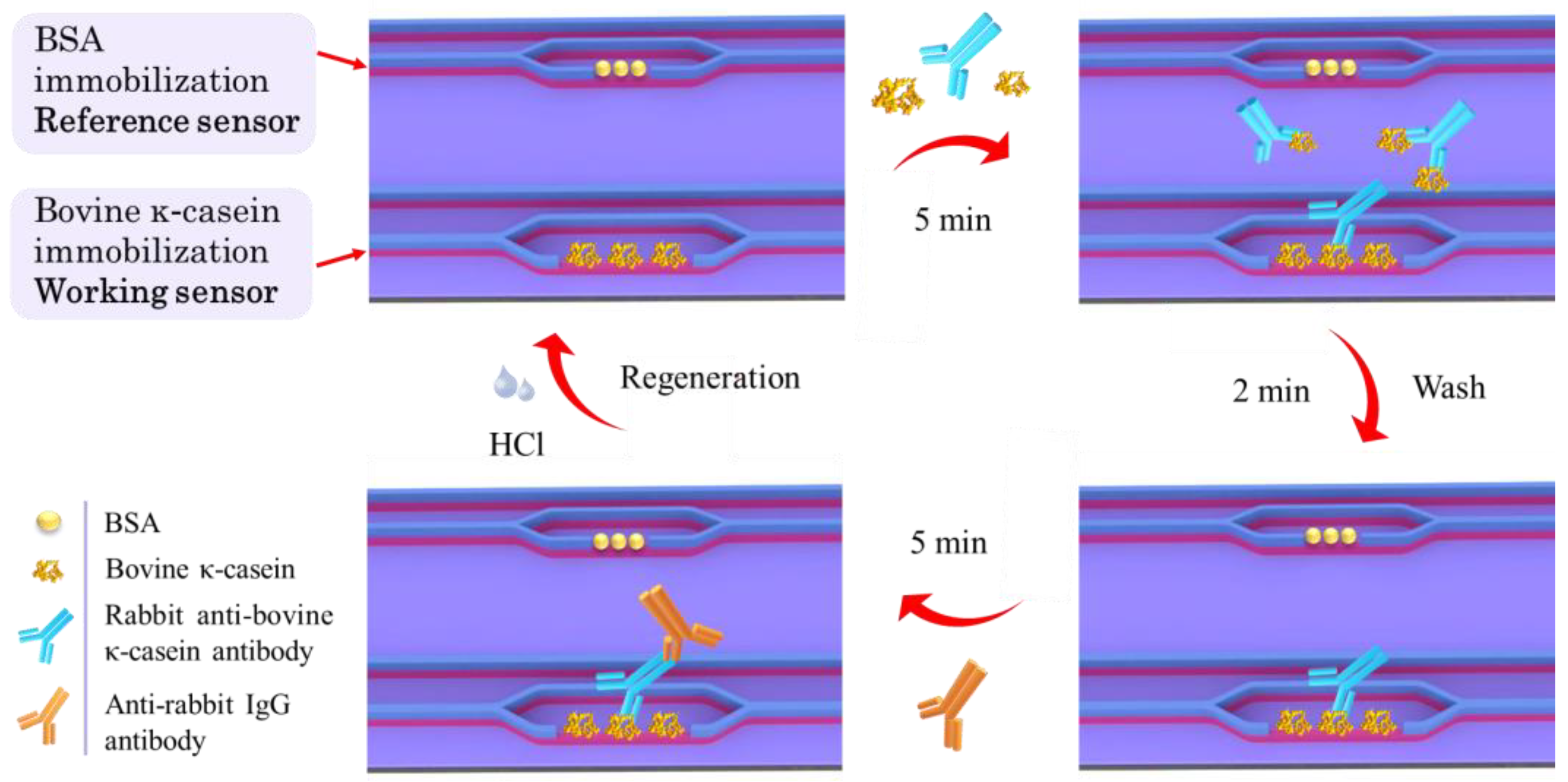Sensors 24 05688 g002