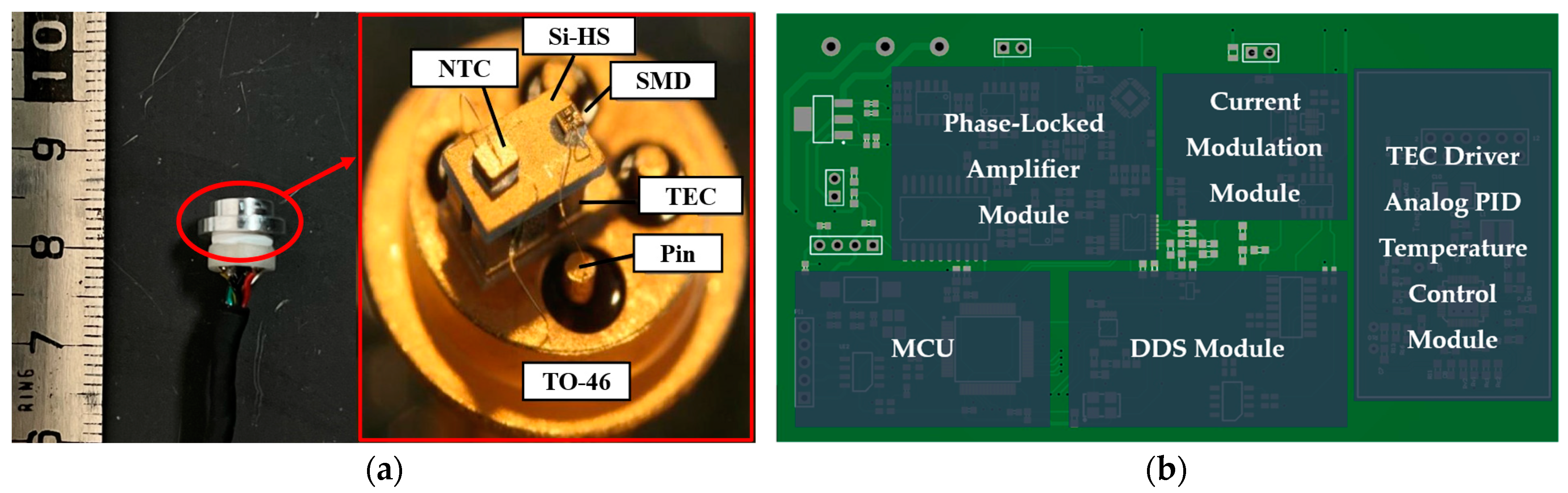Sensors 24 05692 g006