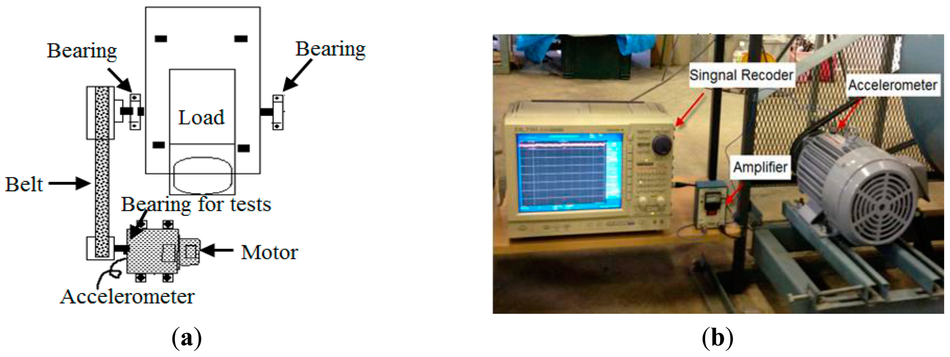 Sensors 24 05700 g007