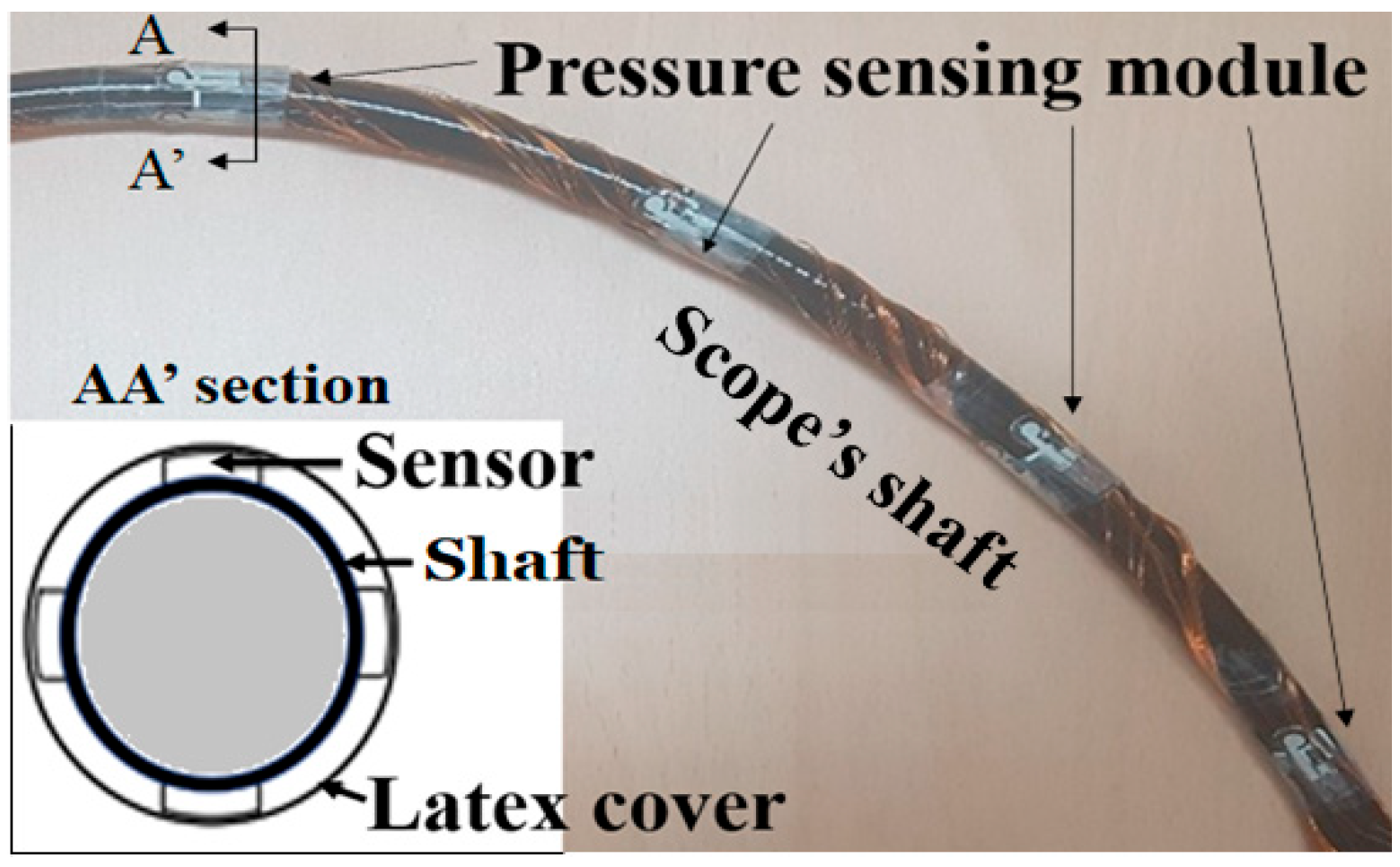 Sensors 24 05711 g001