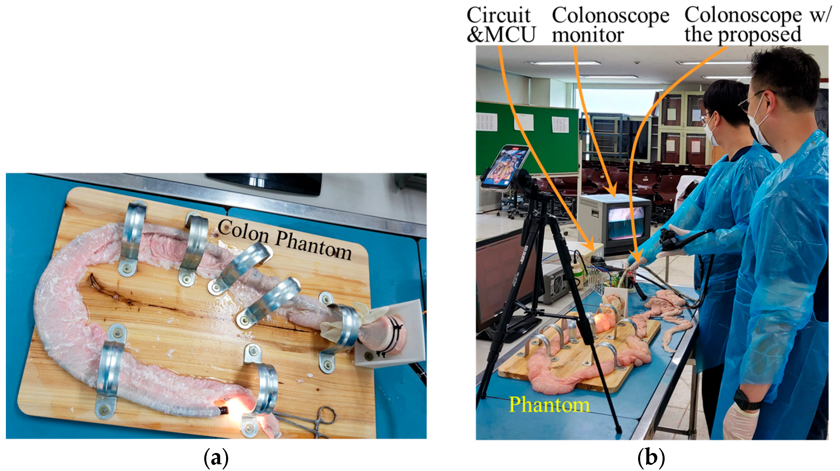 Sensors 24 05711 g003