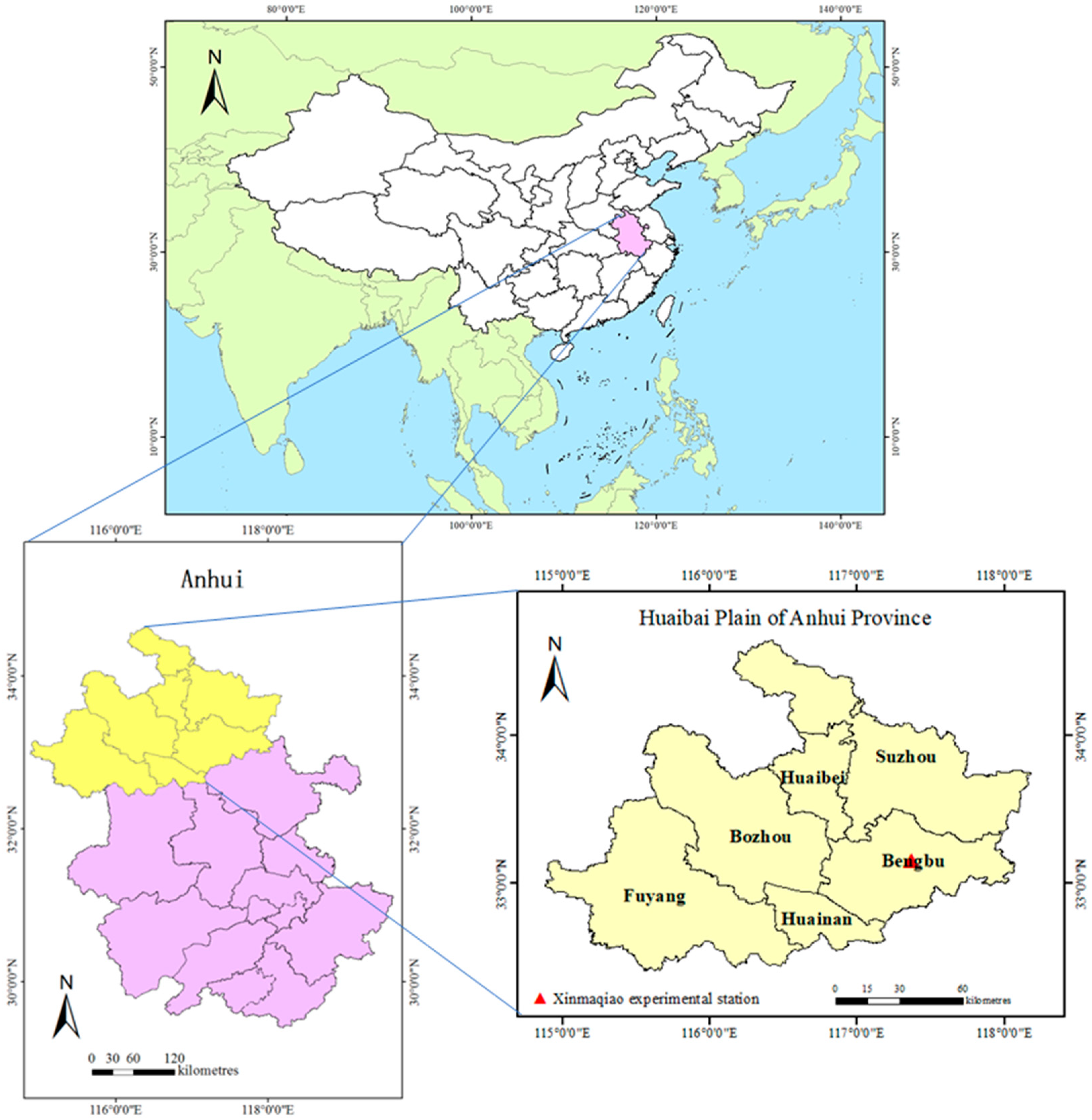 Sensors 24 05715 g001