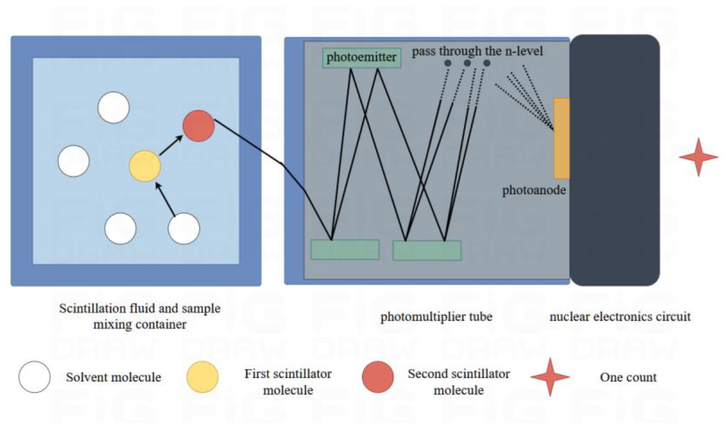 Sensors 24 05722 g004 Sensors 24 05722 g004