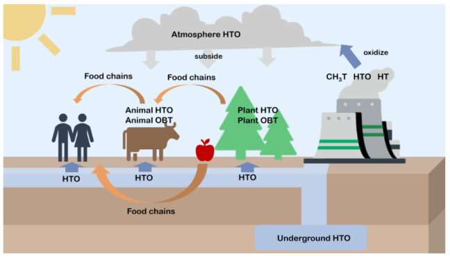 Sensors 24 05722 i001 Sensors 24 05722 i001