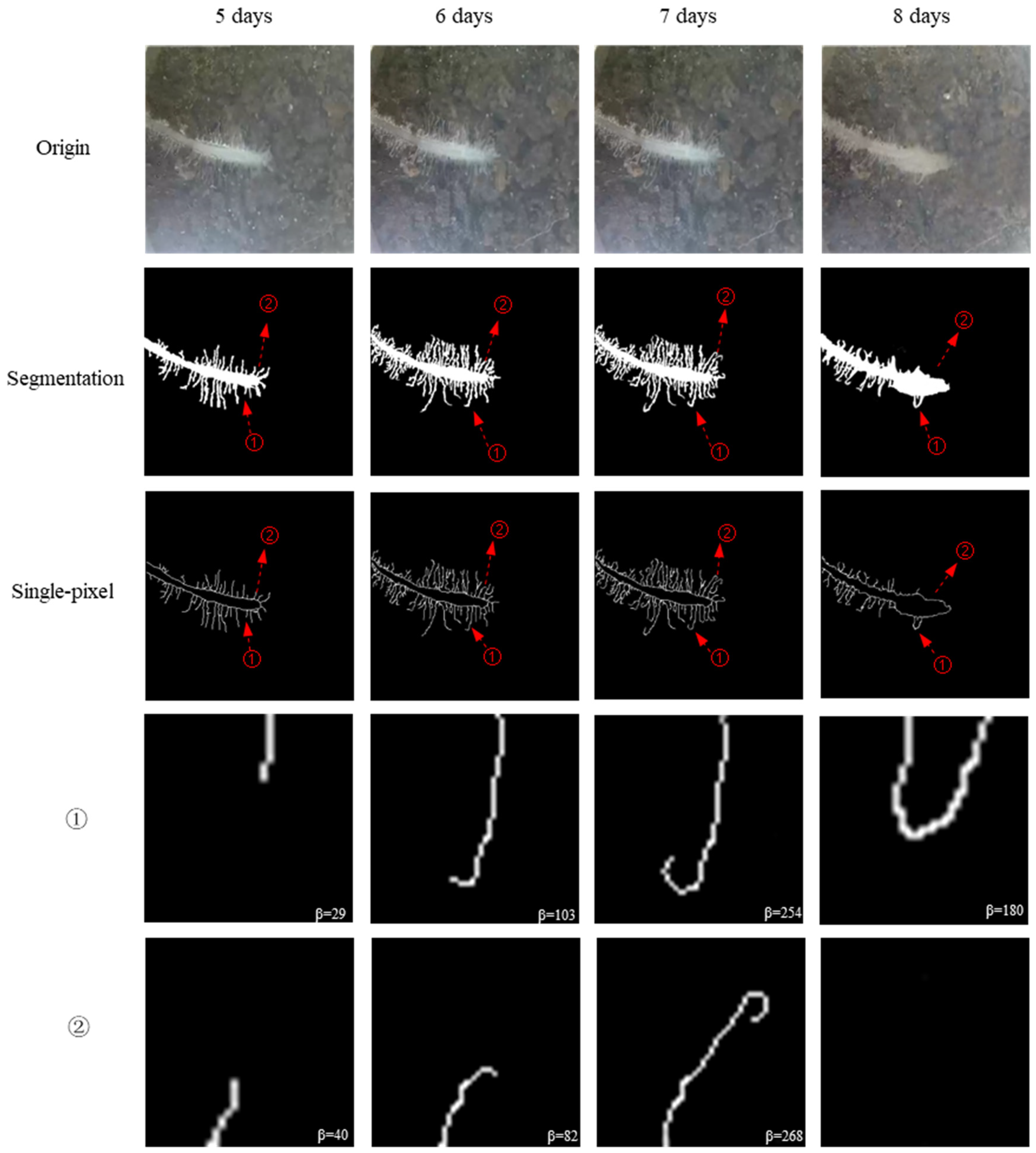 Sensors 24 05726 g007