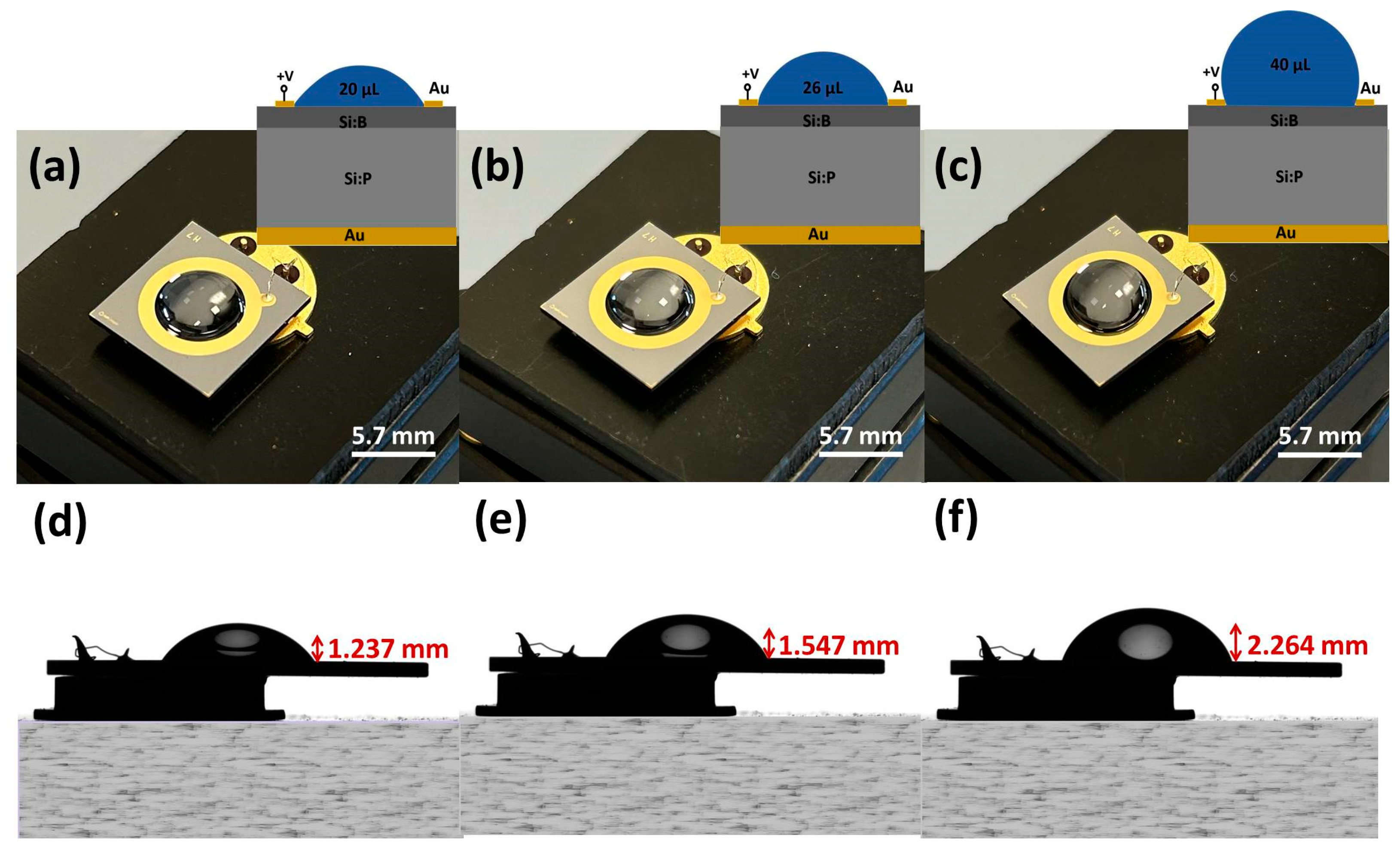 Sensors 24 05751 g001