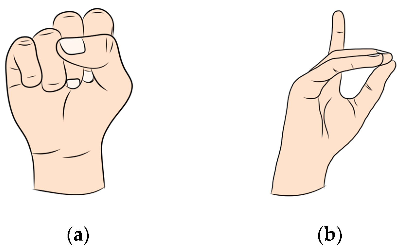 Sensors 24 05768 g001 Sensors 24 05768 g001