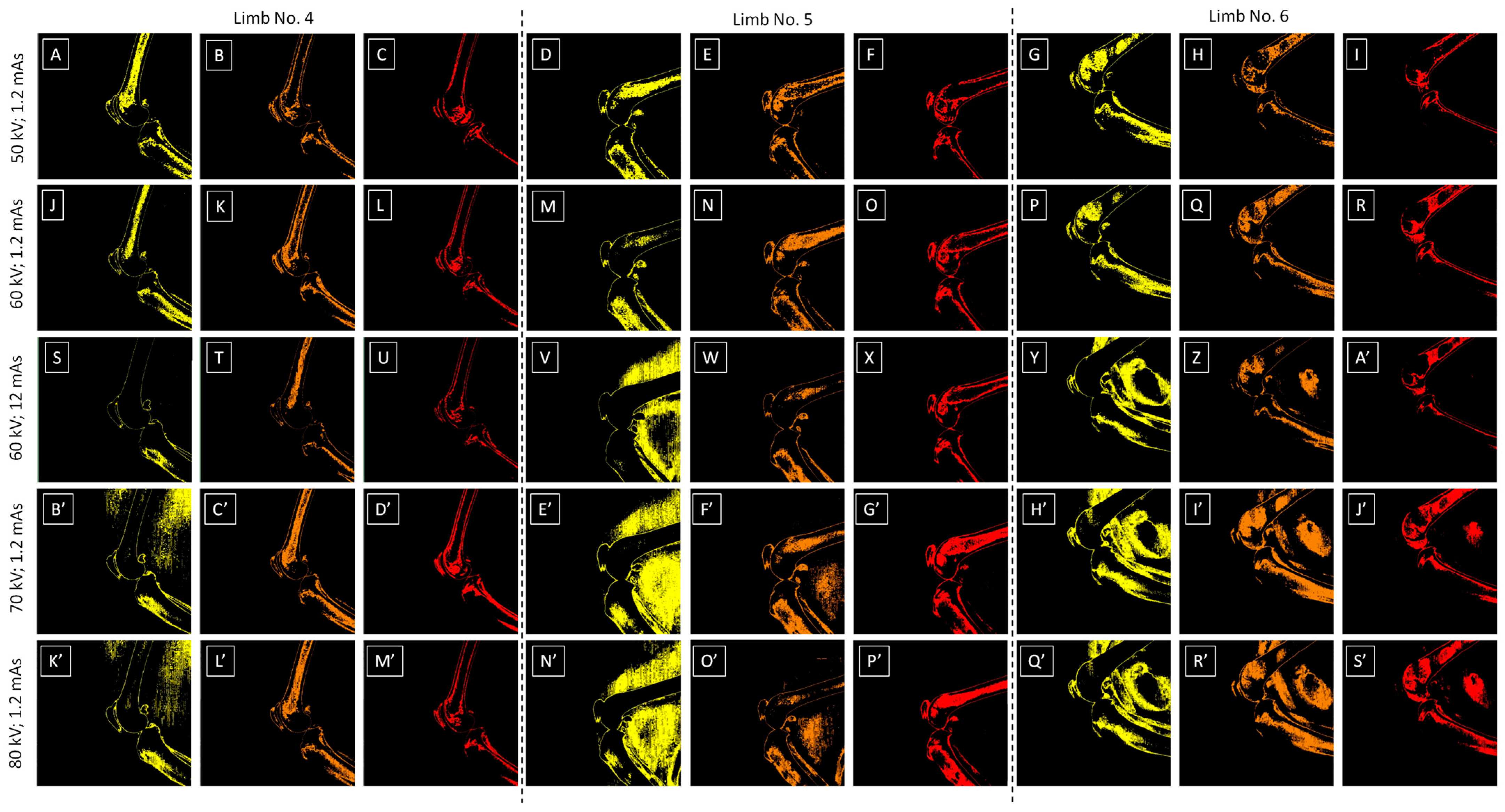 Sensors 24 05774 g006 Sensors 24 05774 g006