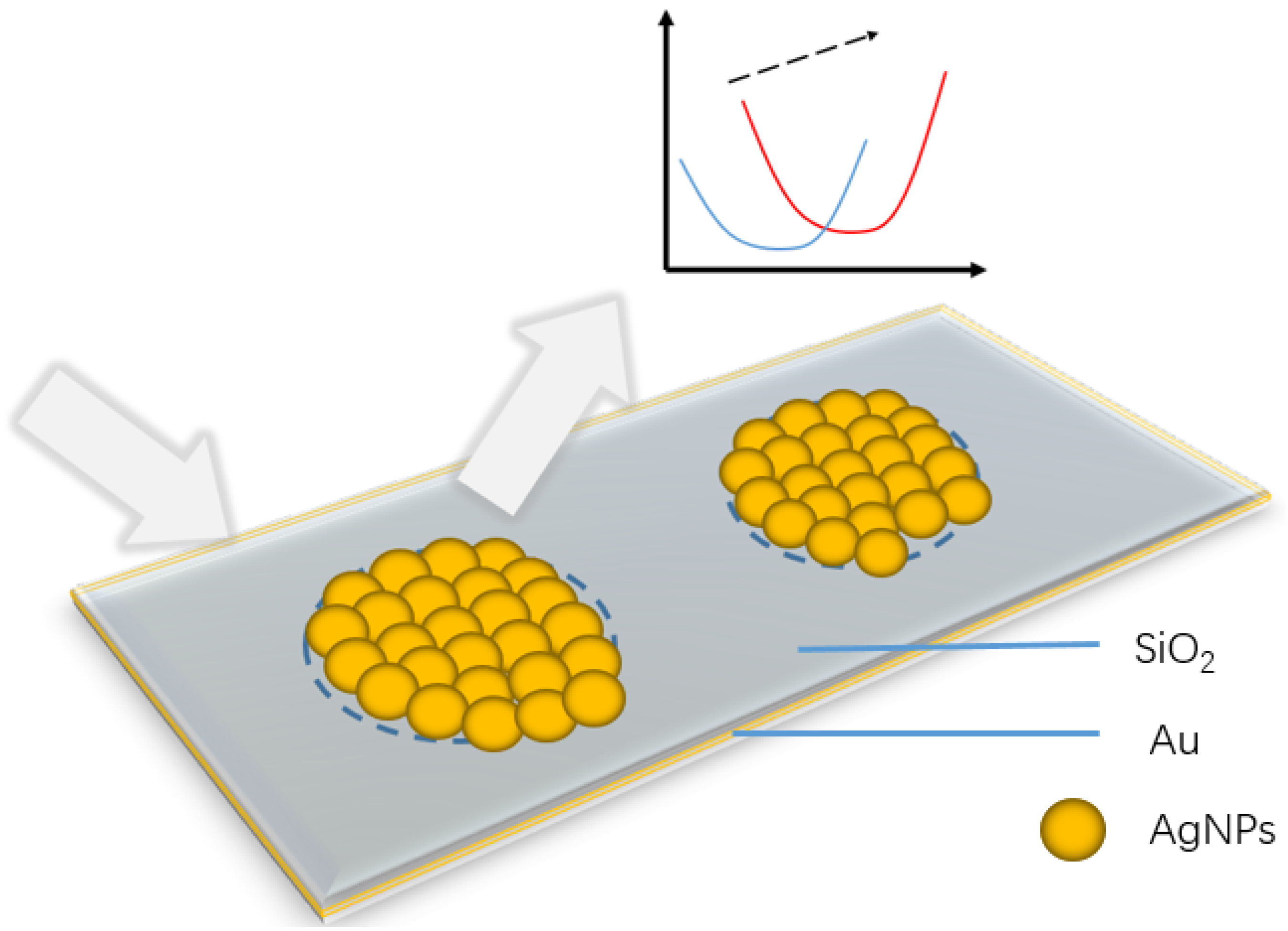 Sensors 24 05778 g001