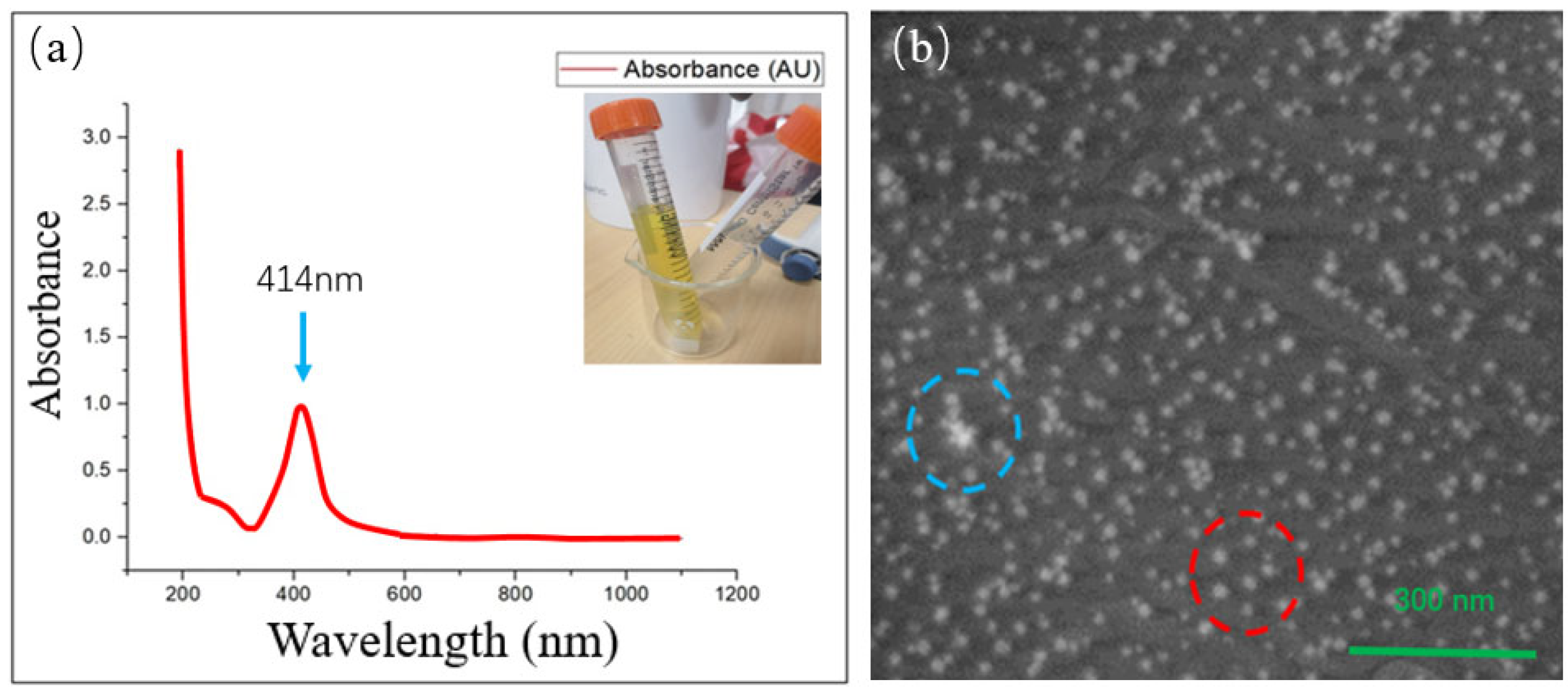 Sensors 24 05778 g002