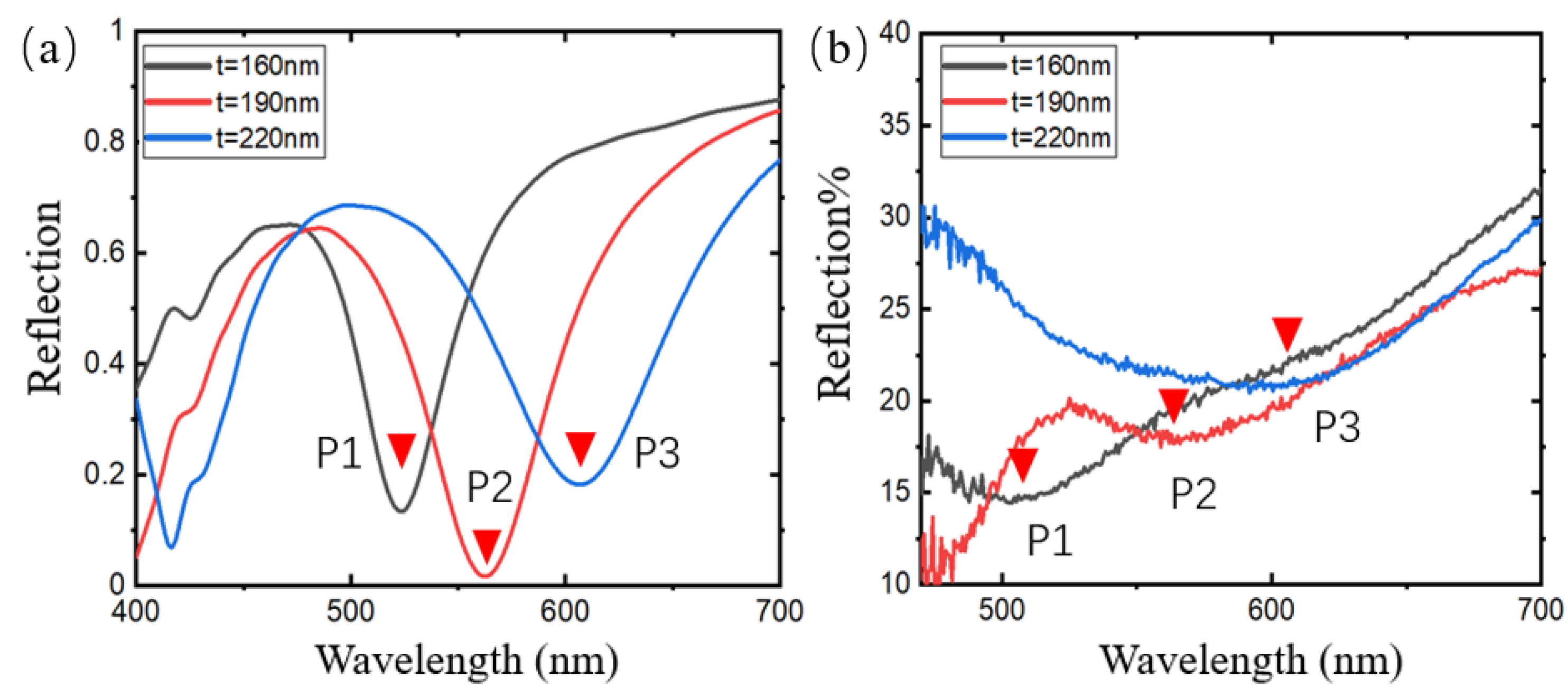 Sensors 24 05778 g007
