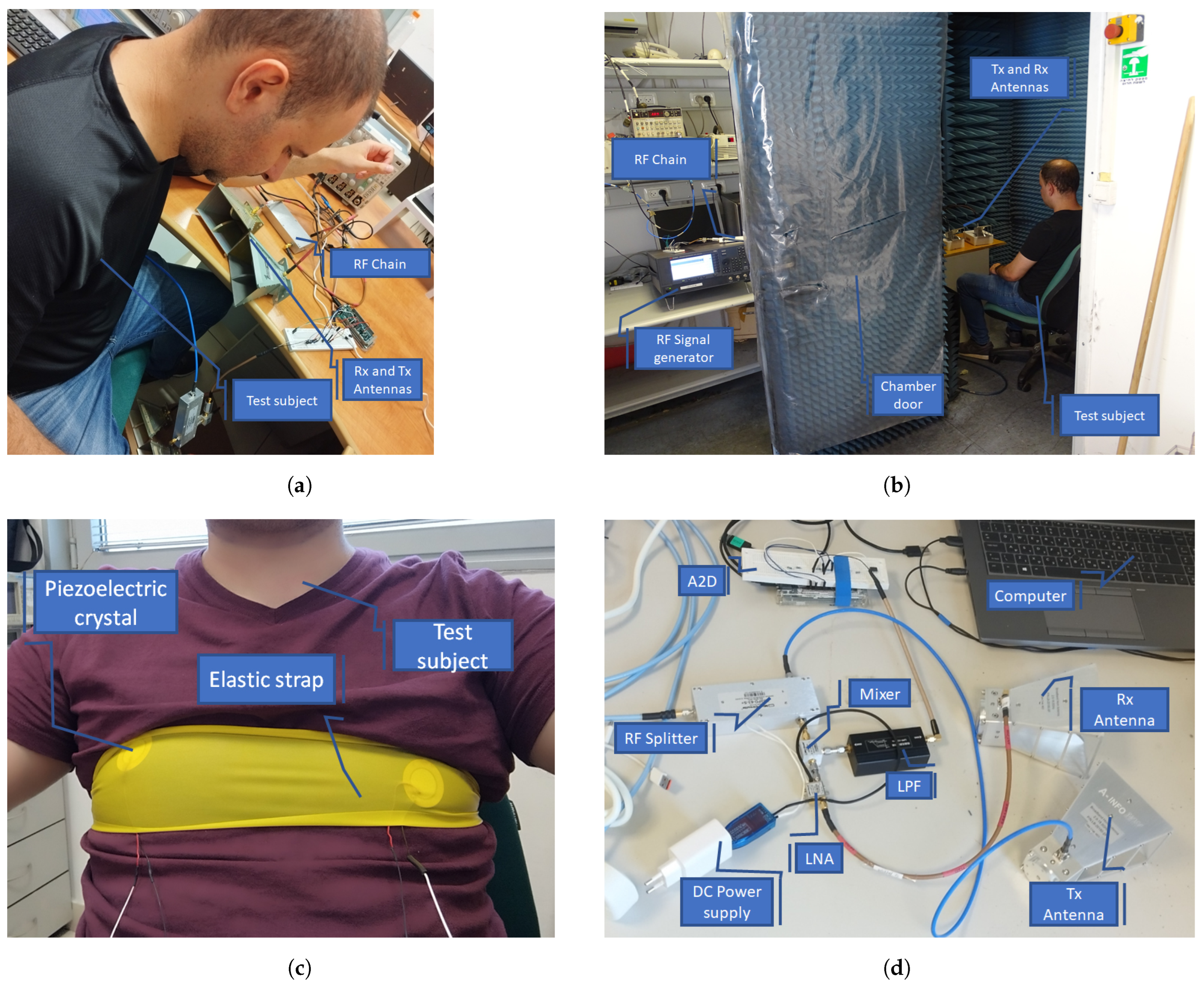 Sensors 24 05784 g007