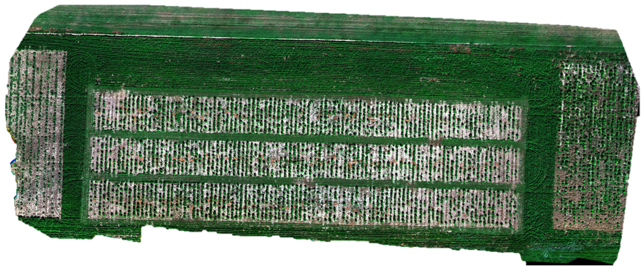 Sensors 24 05794 g001