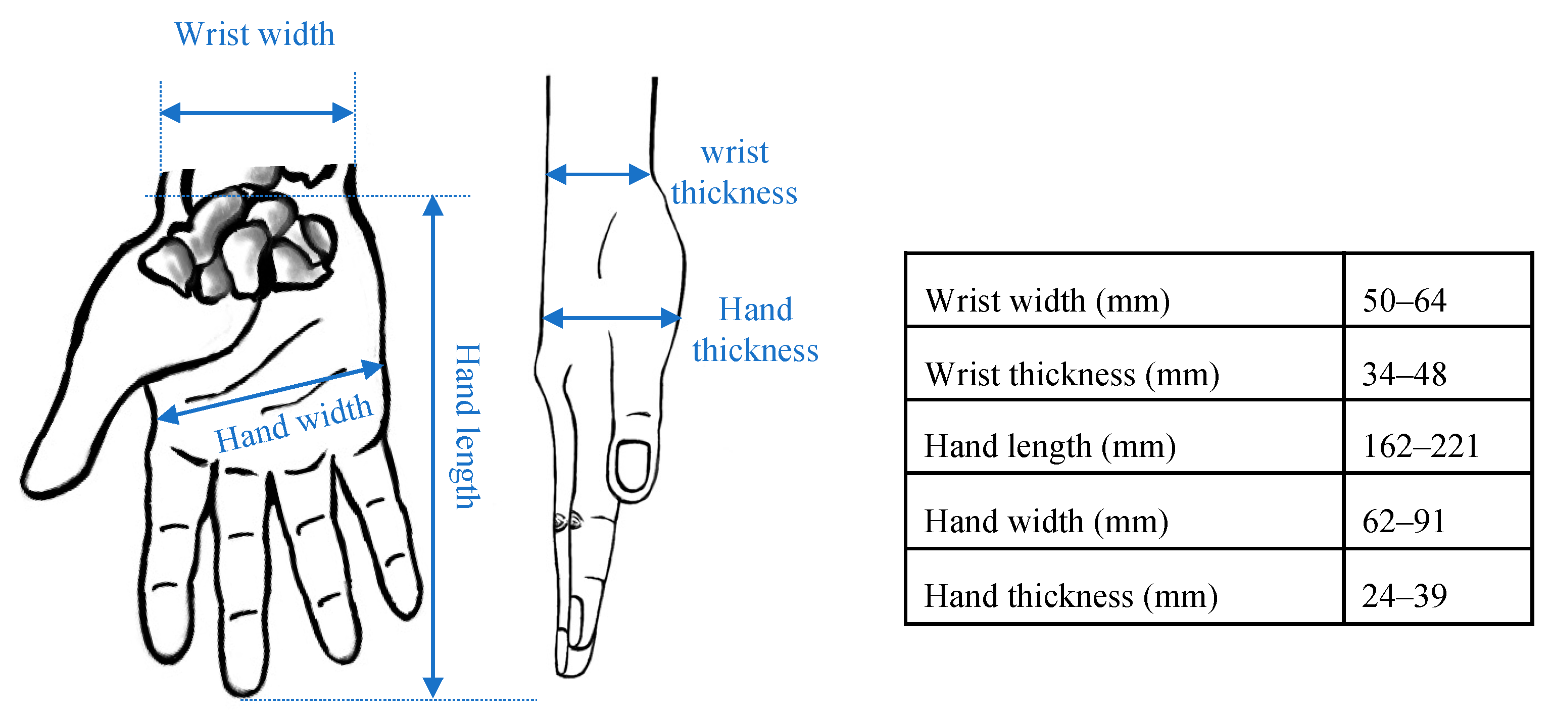 Sensors 24 05801 g001