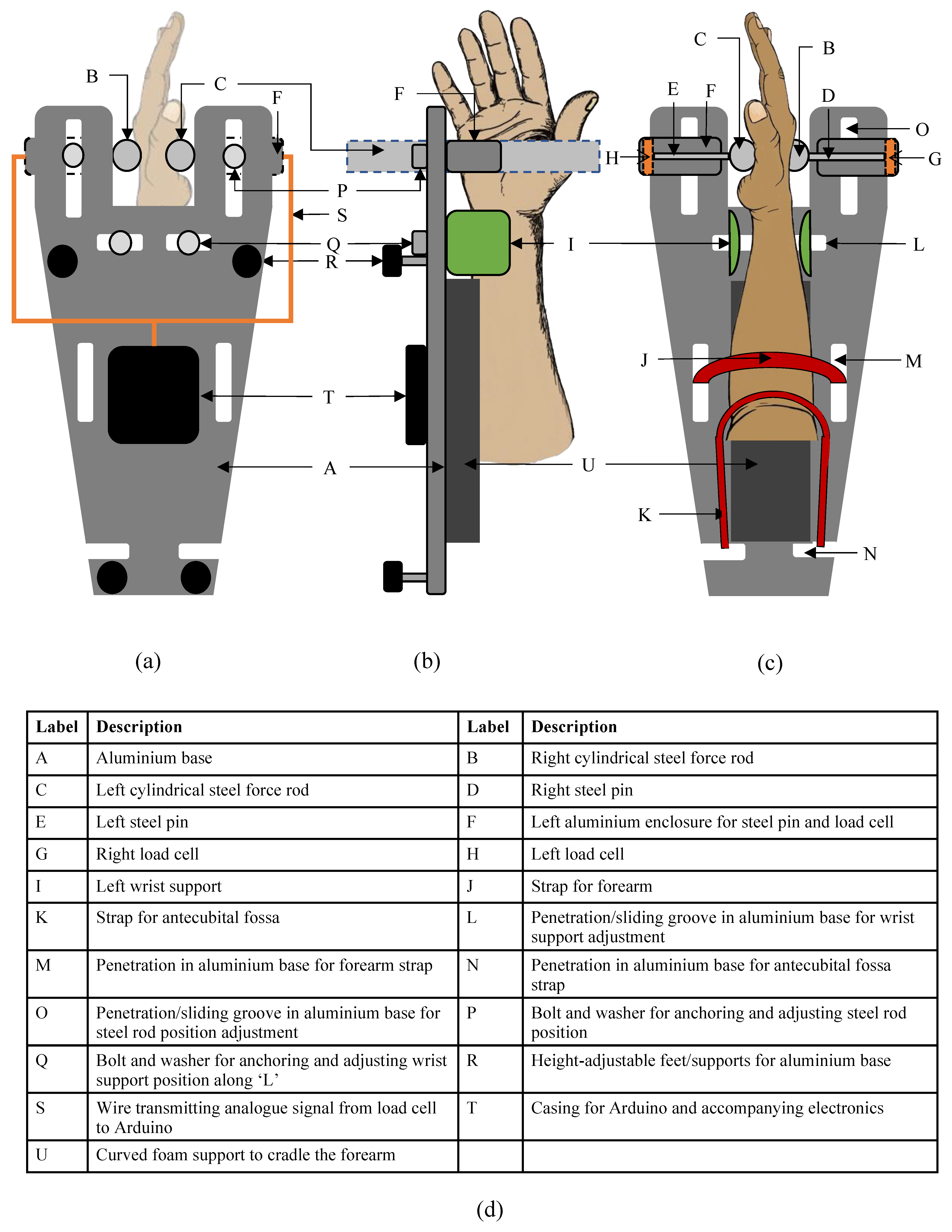Sensors 24 05801 g002