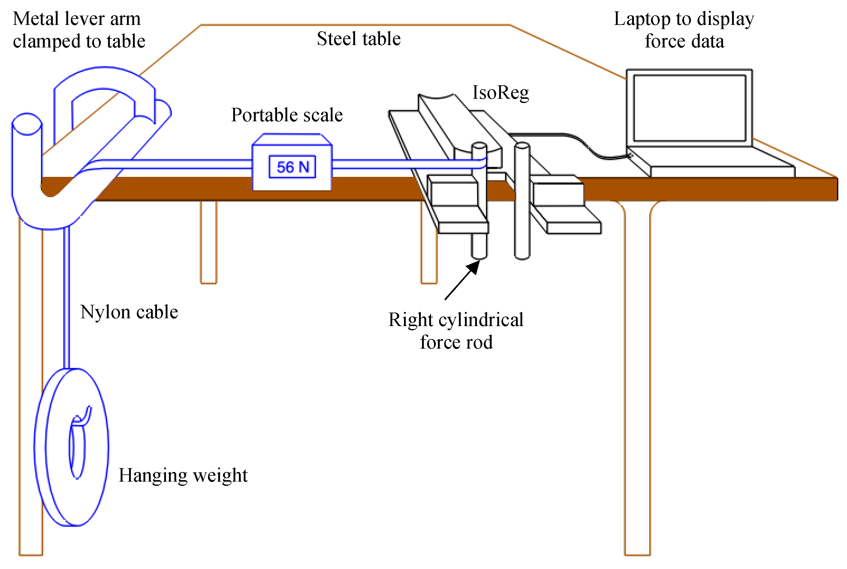 Sensors 24 05801 g009