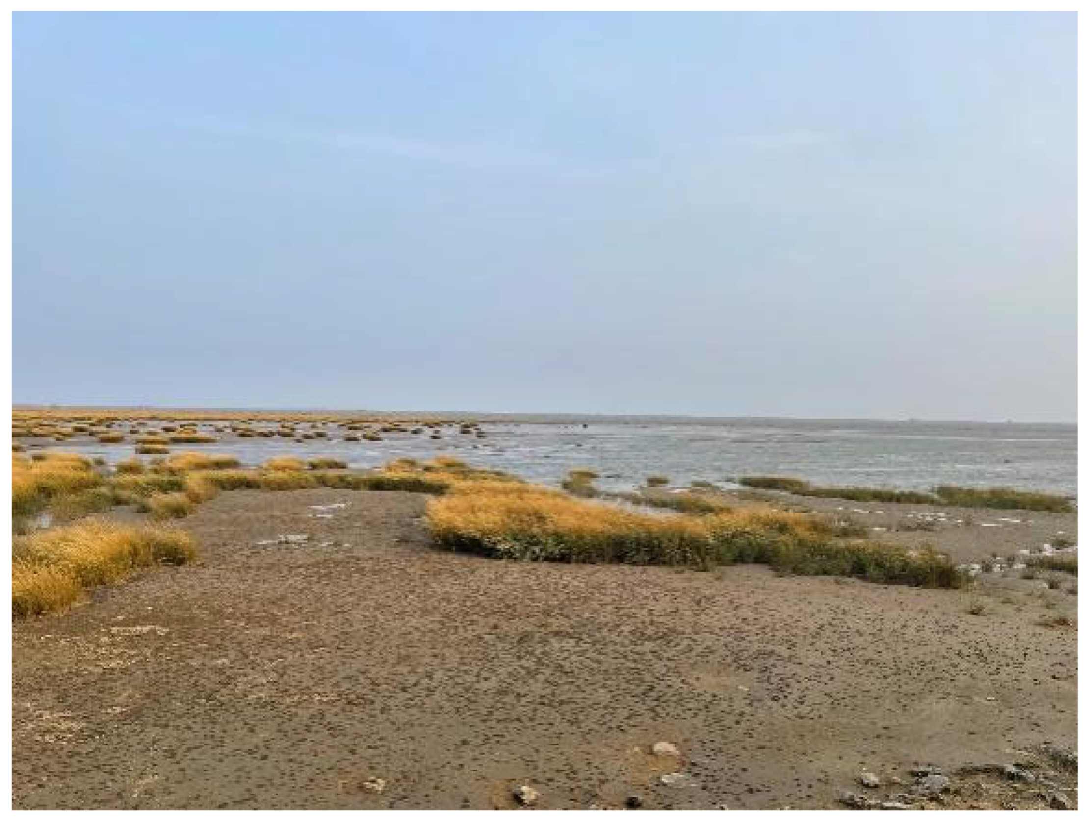 Sensors 24 05812 g021