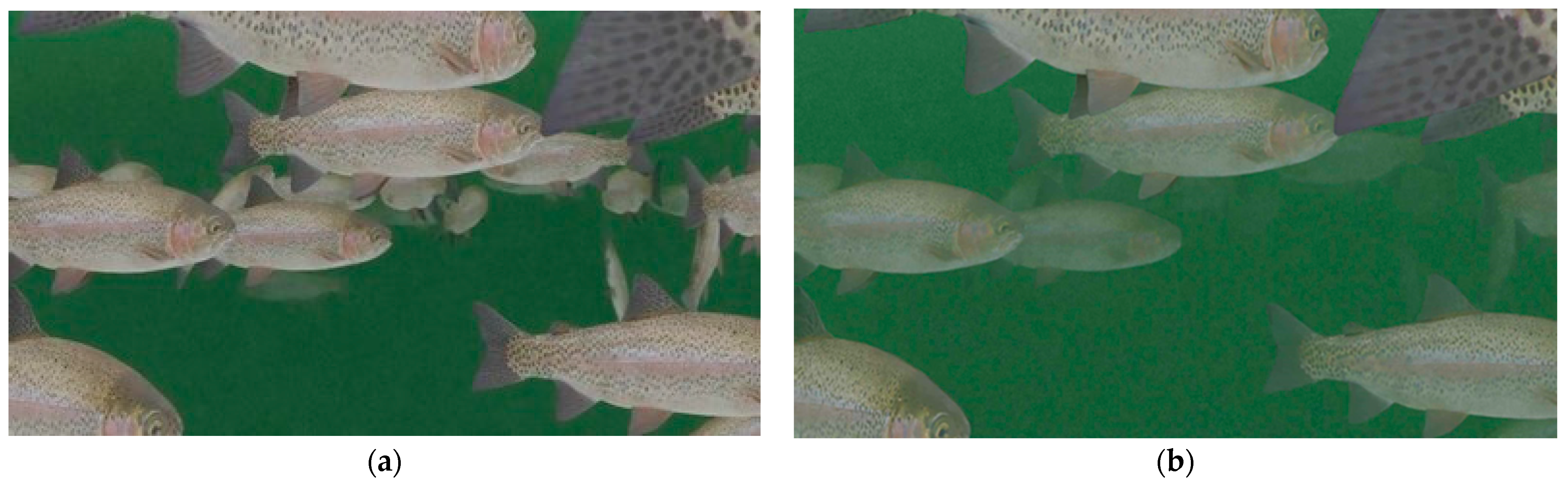 Sensors 24 05816 g002