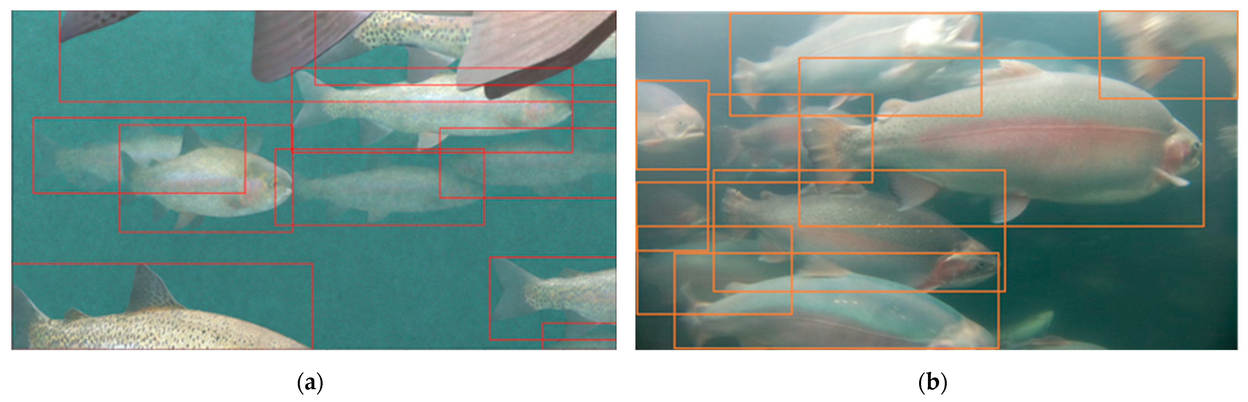 Sensors 24 05816 g004