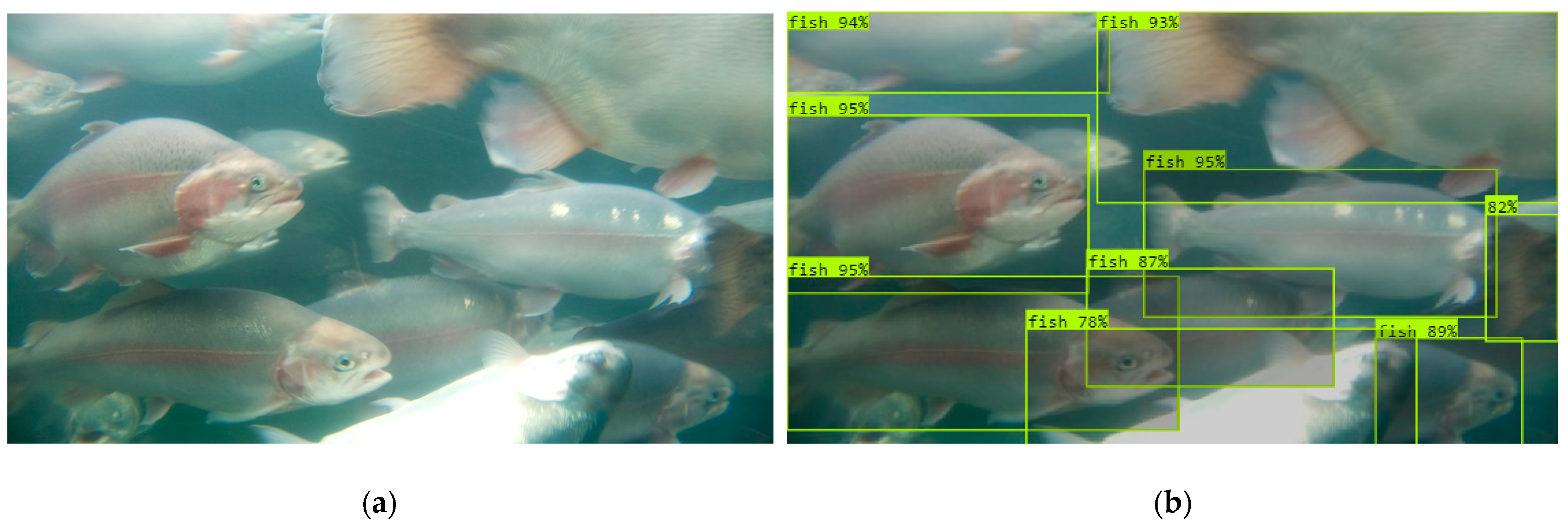 Sensors 24 05816 g008a