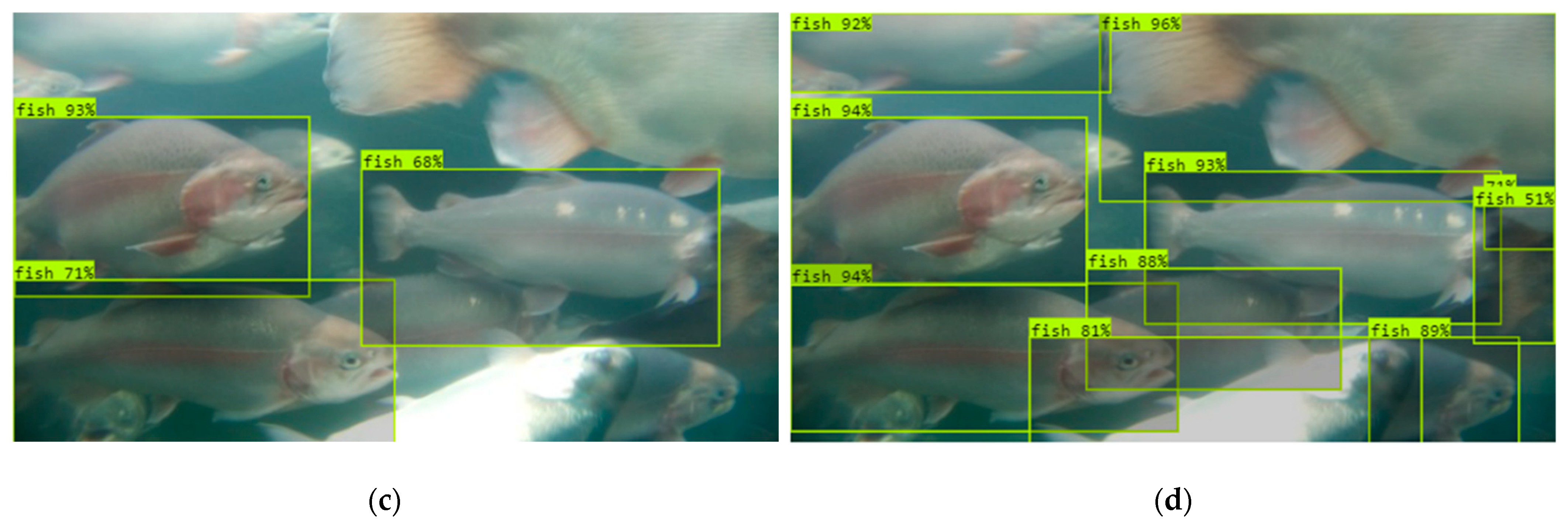 Sensors 24 05816 g008b